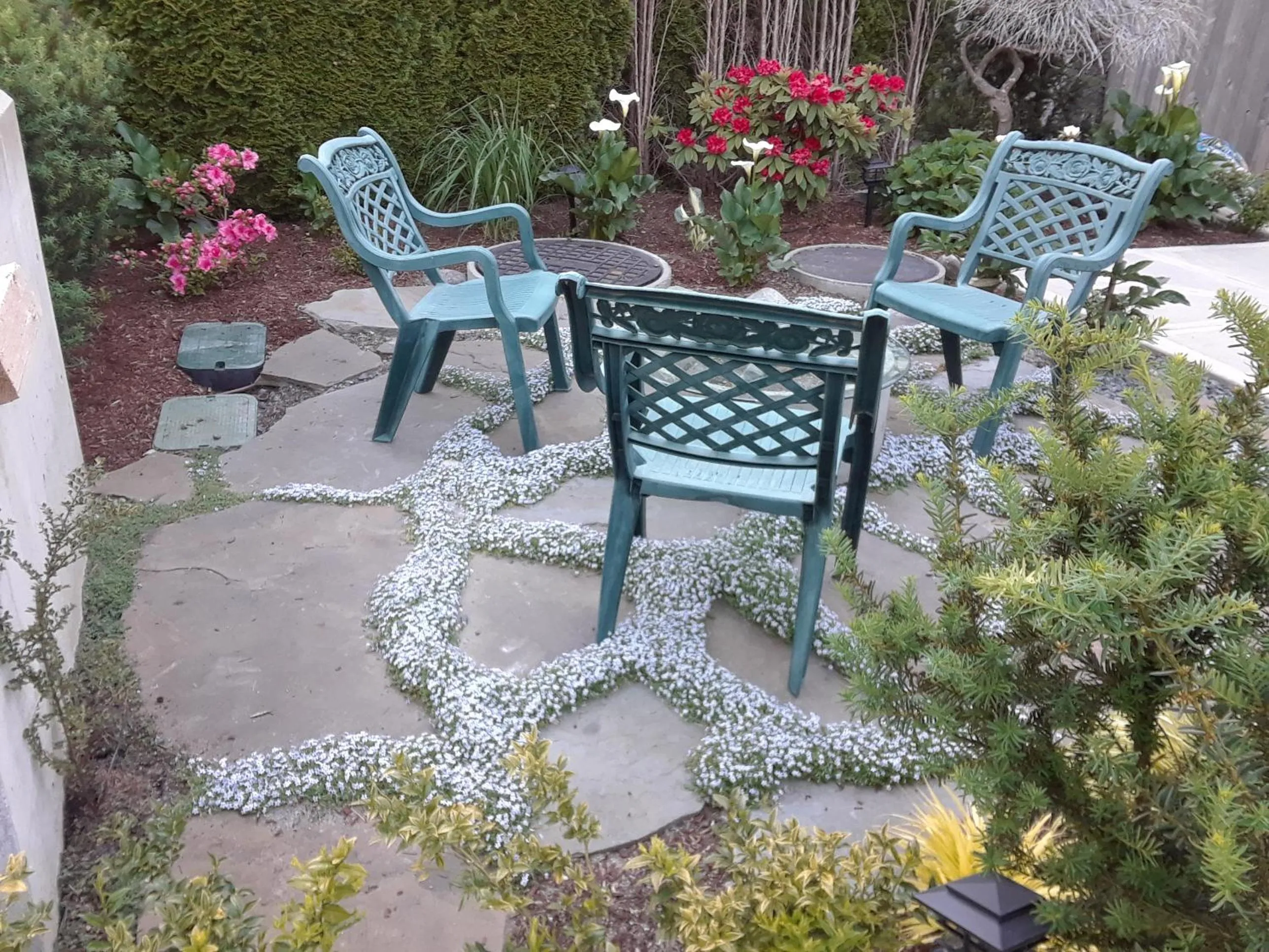 Vancouver Traveller B&B