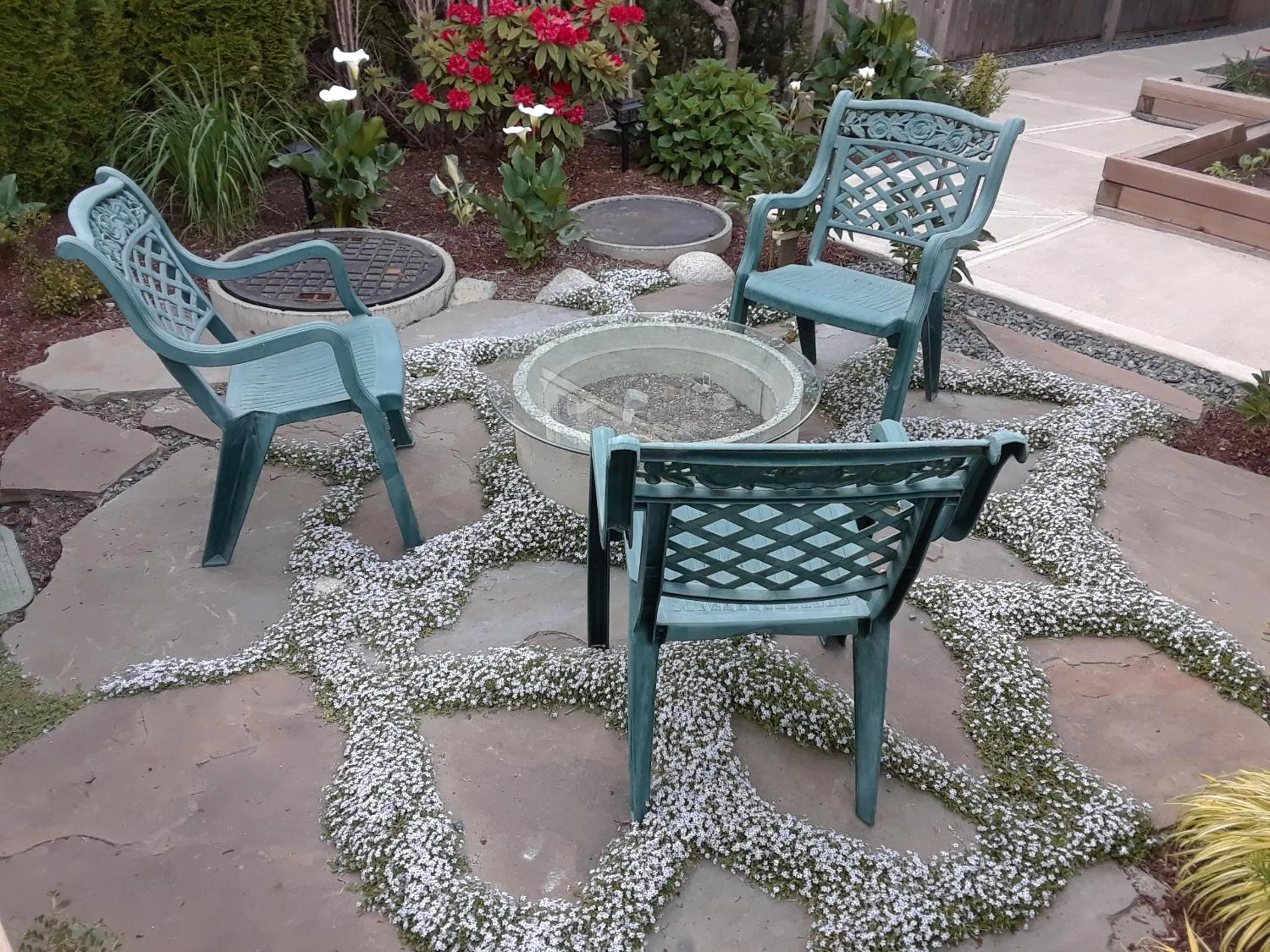 Garden view in Vancouver Traveller B&B