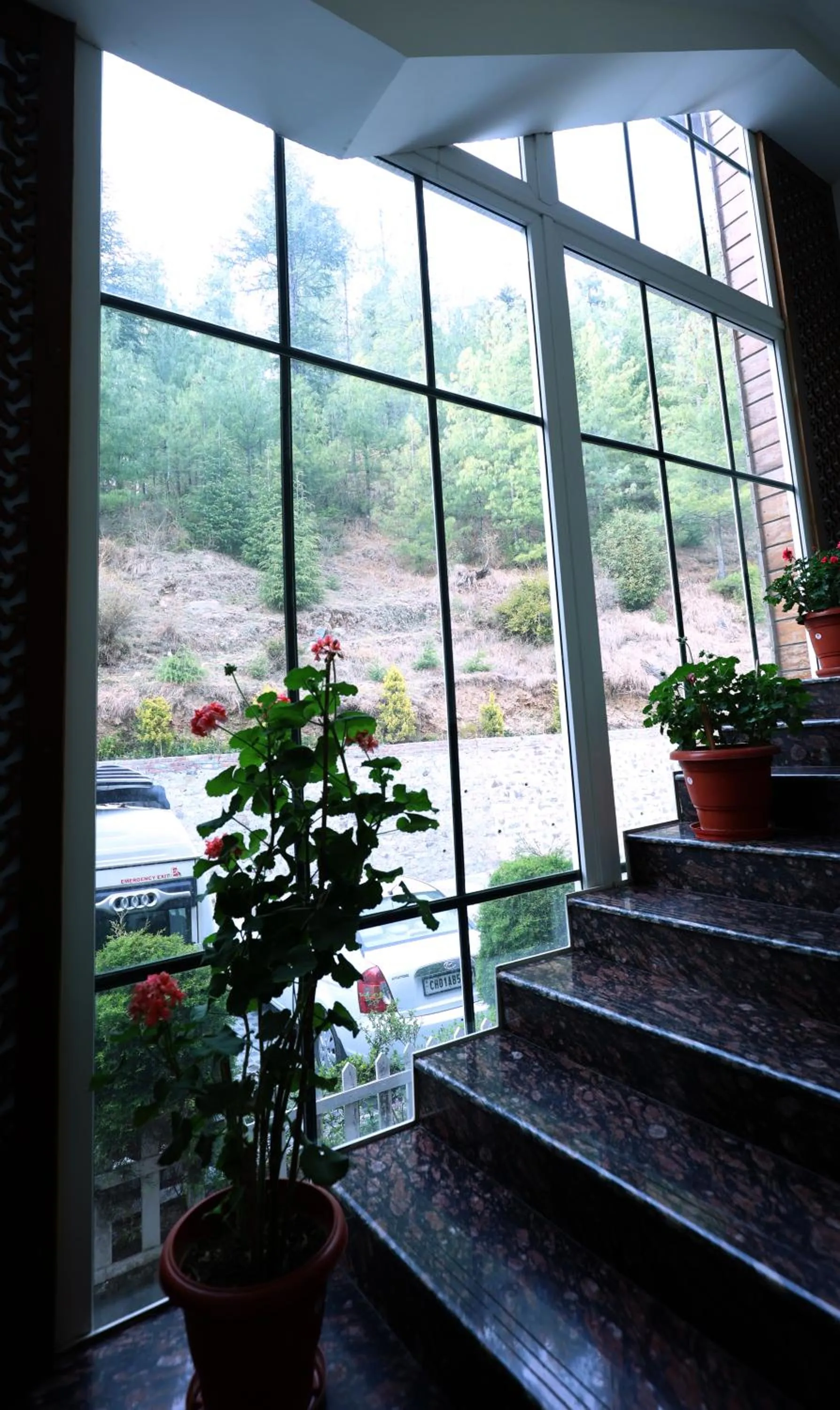 View (from property/room) in The Retreat Mashobra, Shimla