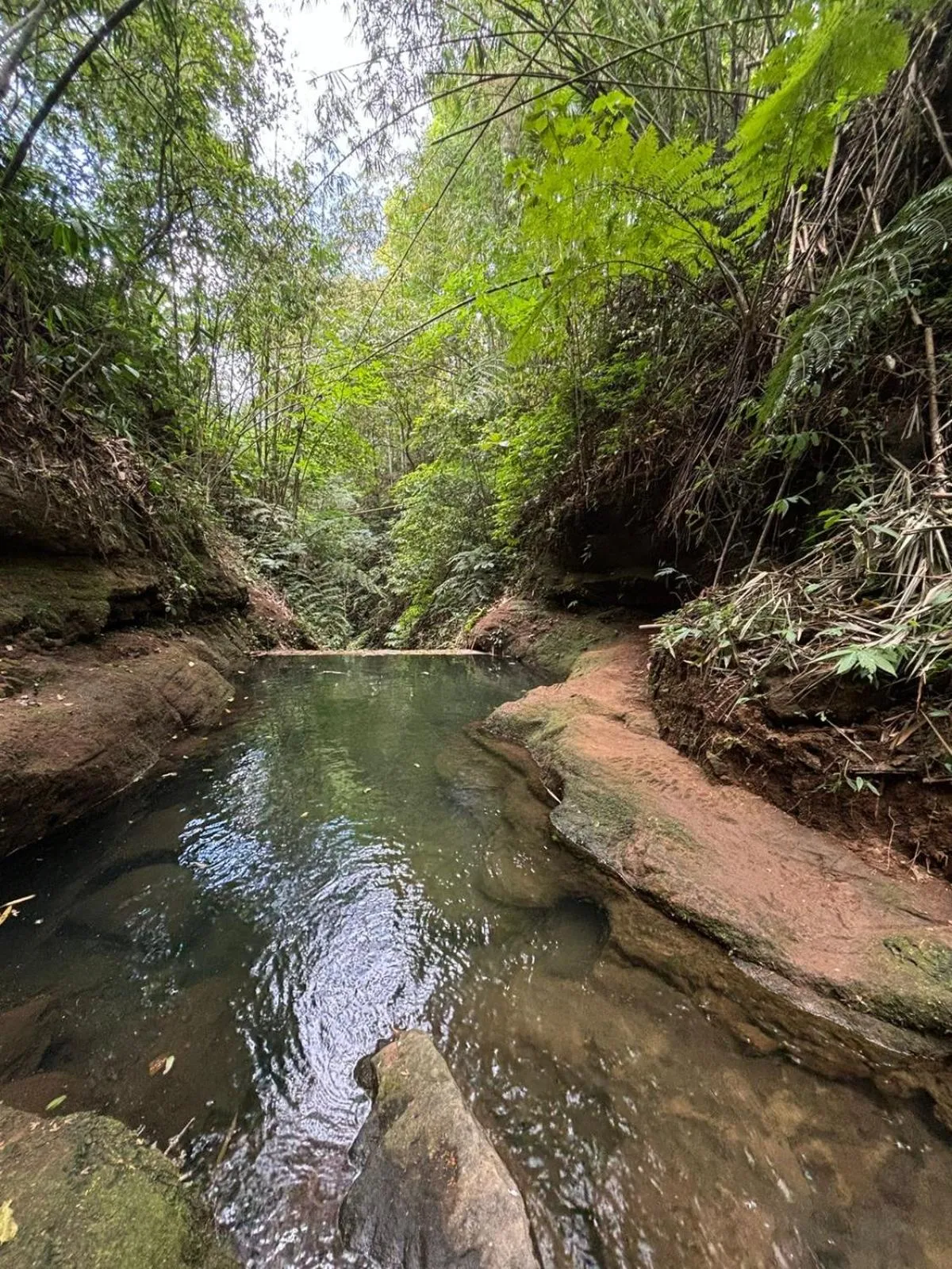 Pool view in Gumi Ayu EcoStay