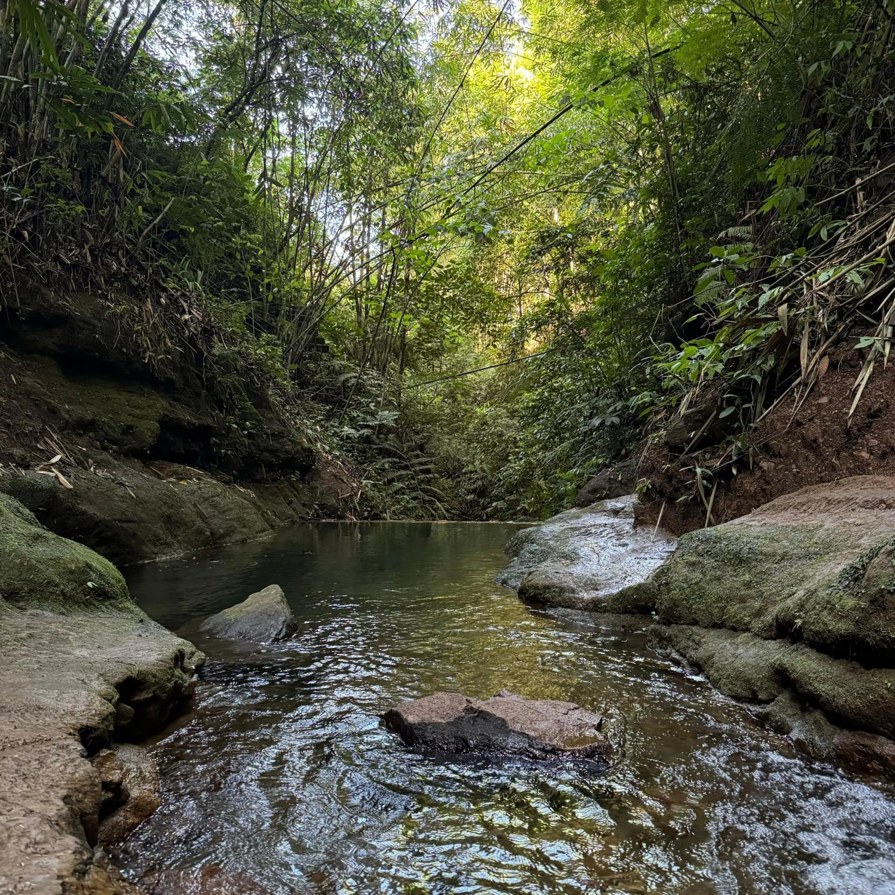 Swimming pool in Gumi Ayu EcoStay