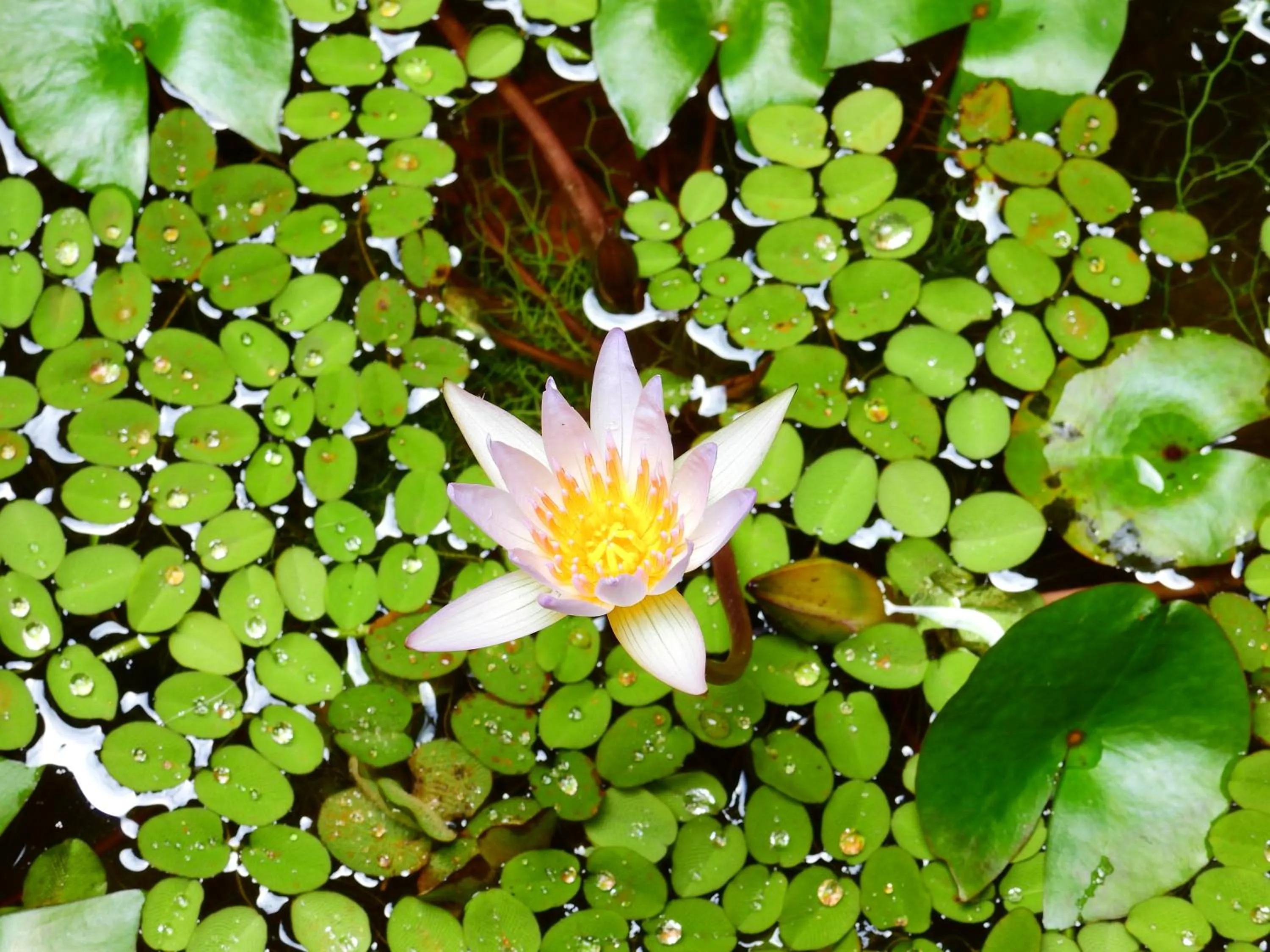 Natural landscape in Hotel Terra Barichara