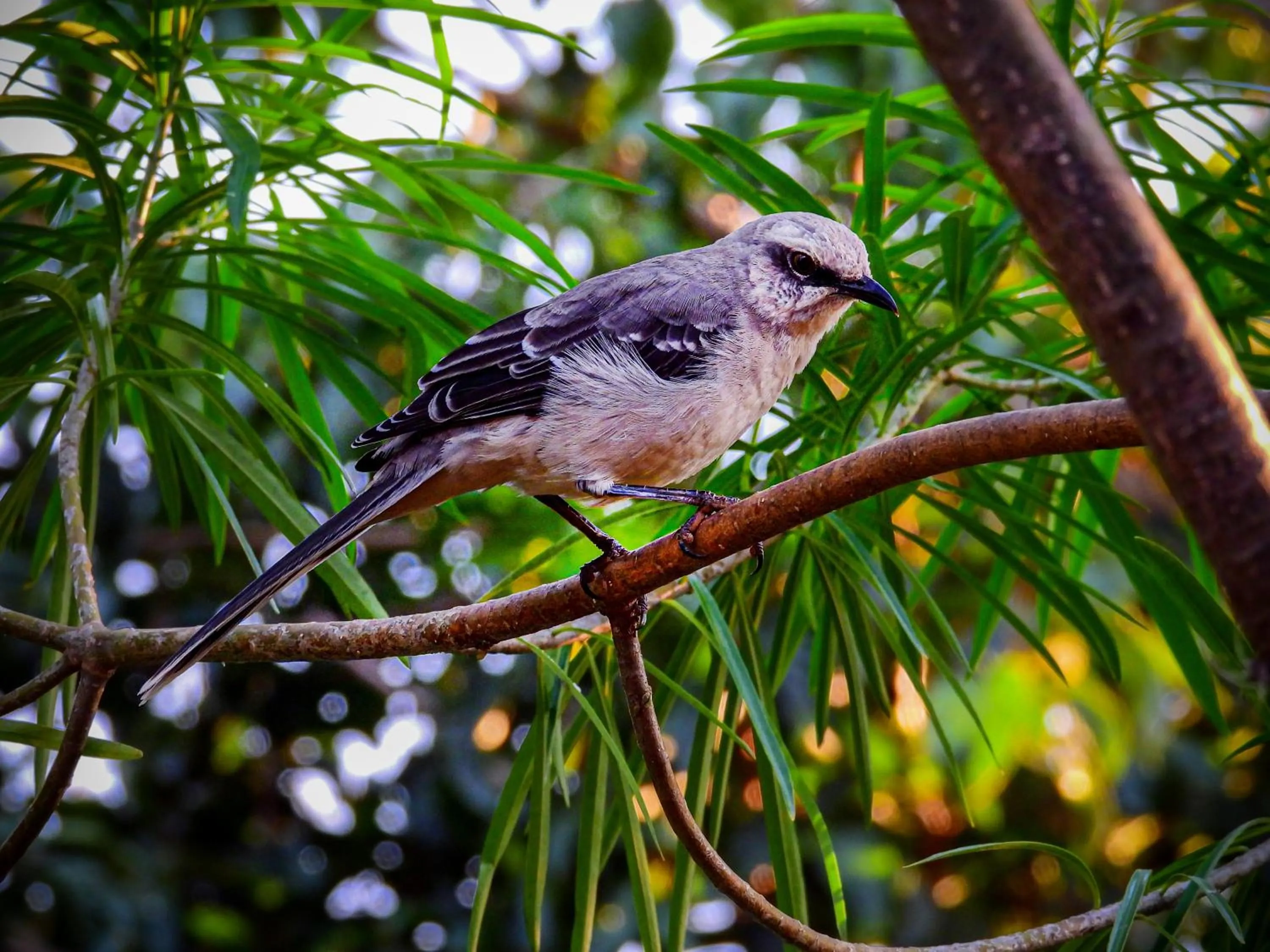 Natural landscape in Hotel Terra Barichara