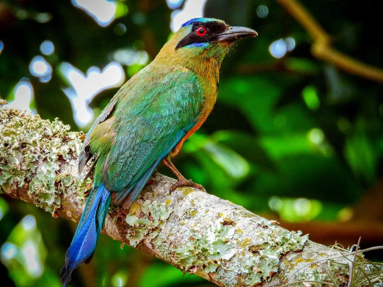 Natural landscape in Hotel Terra Barichara