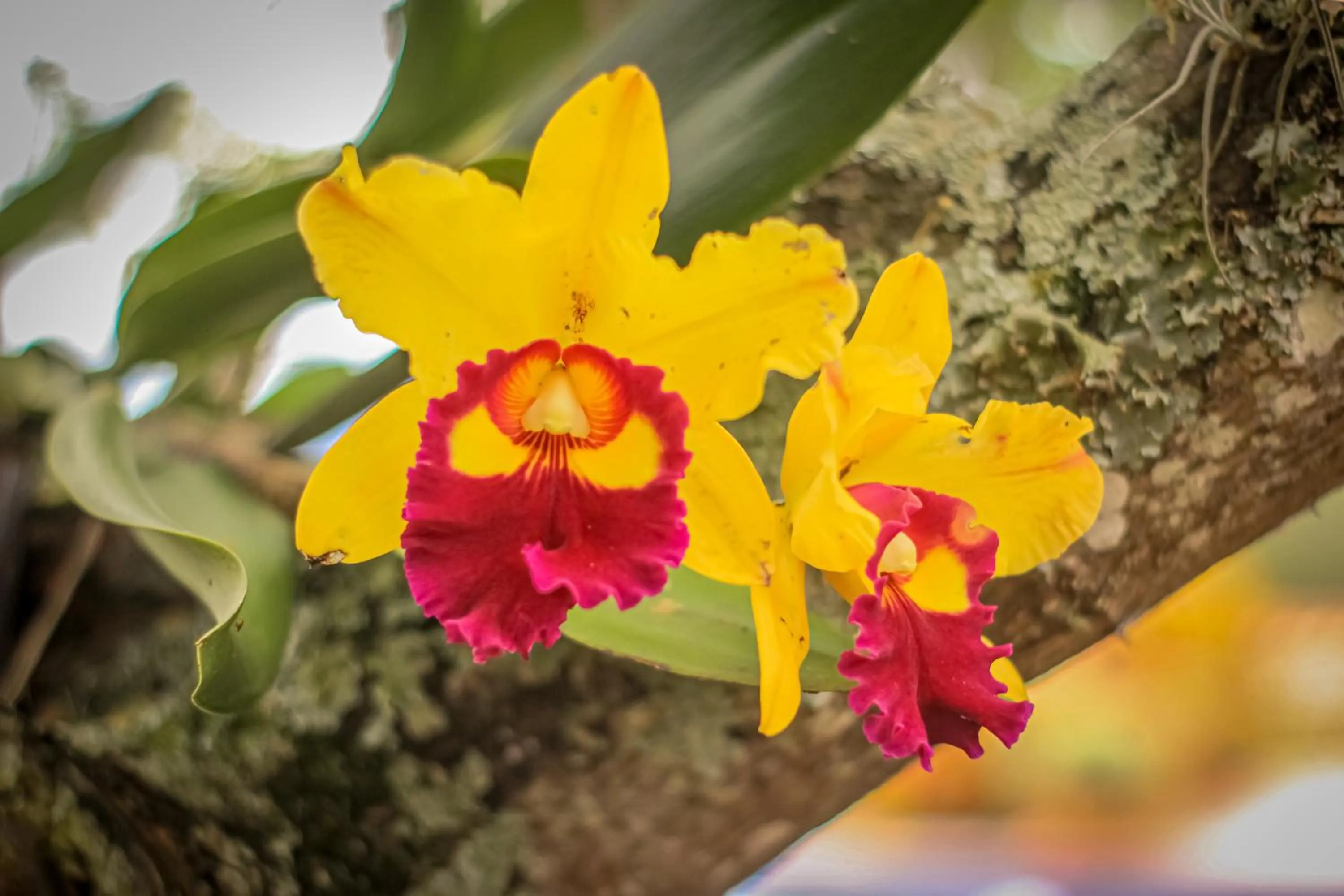 Natural landscape in Hotel Terra Barichara