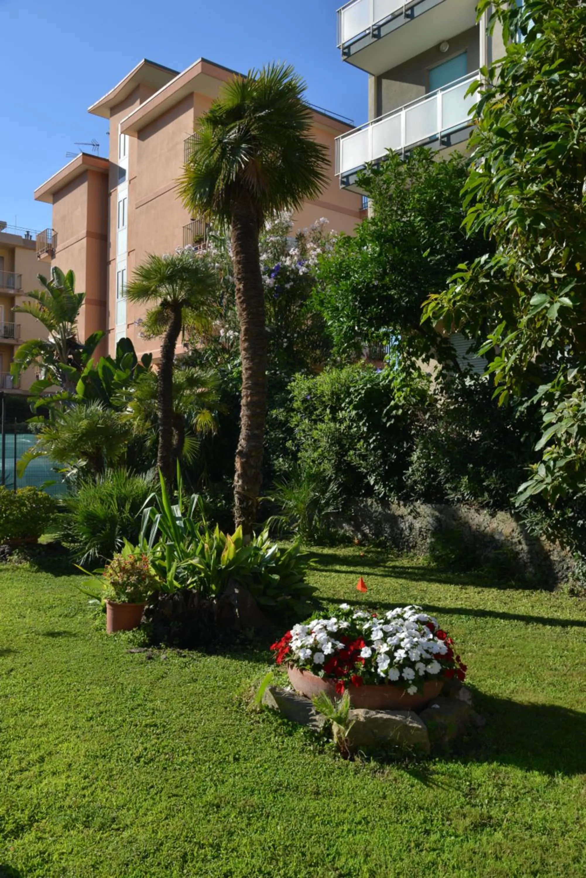 Garden in Hotel Rosalia