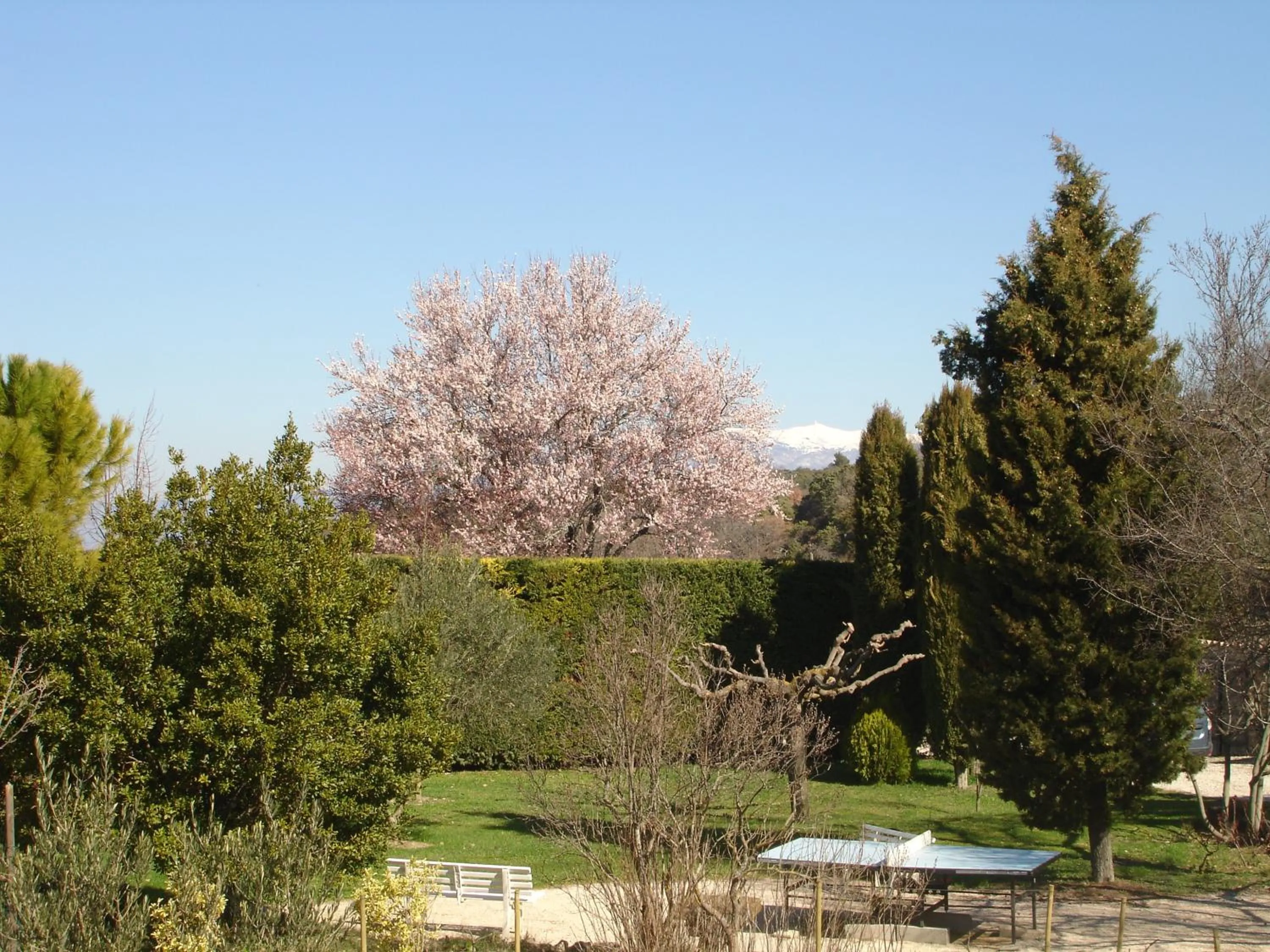 Garden in Domaine De La Grange Neuve