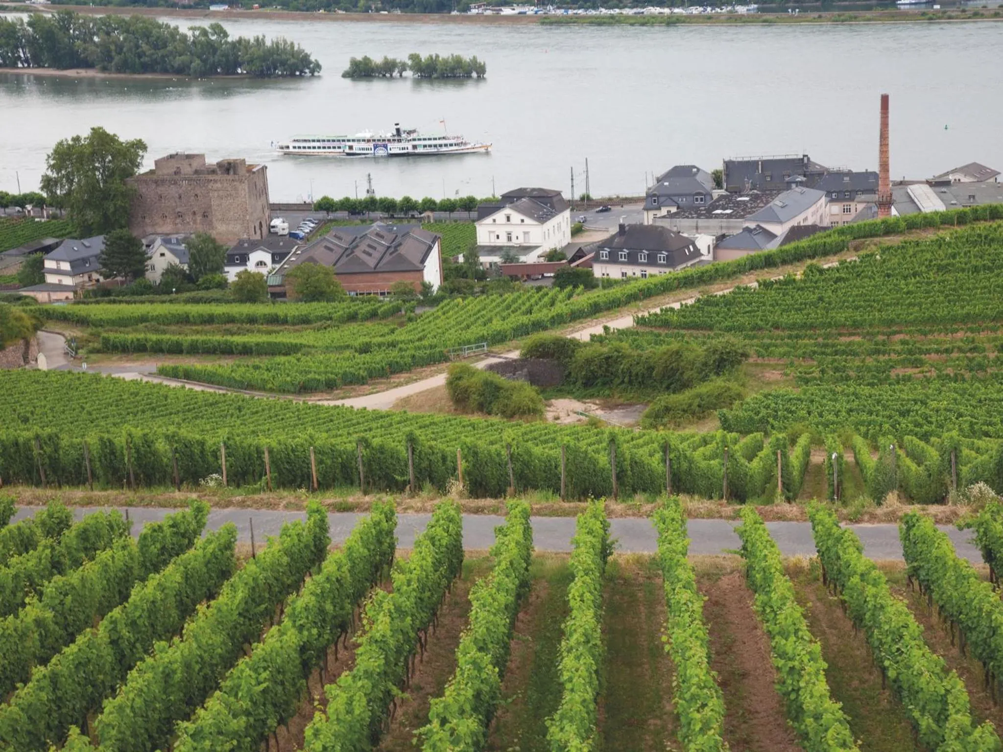 Area and facilities in Hotel Felsenkeller