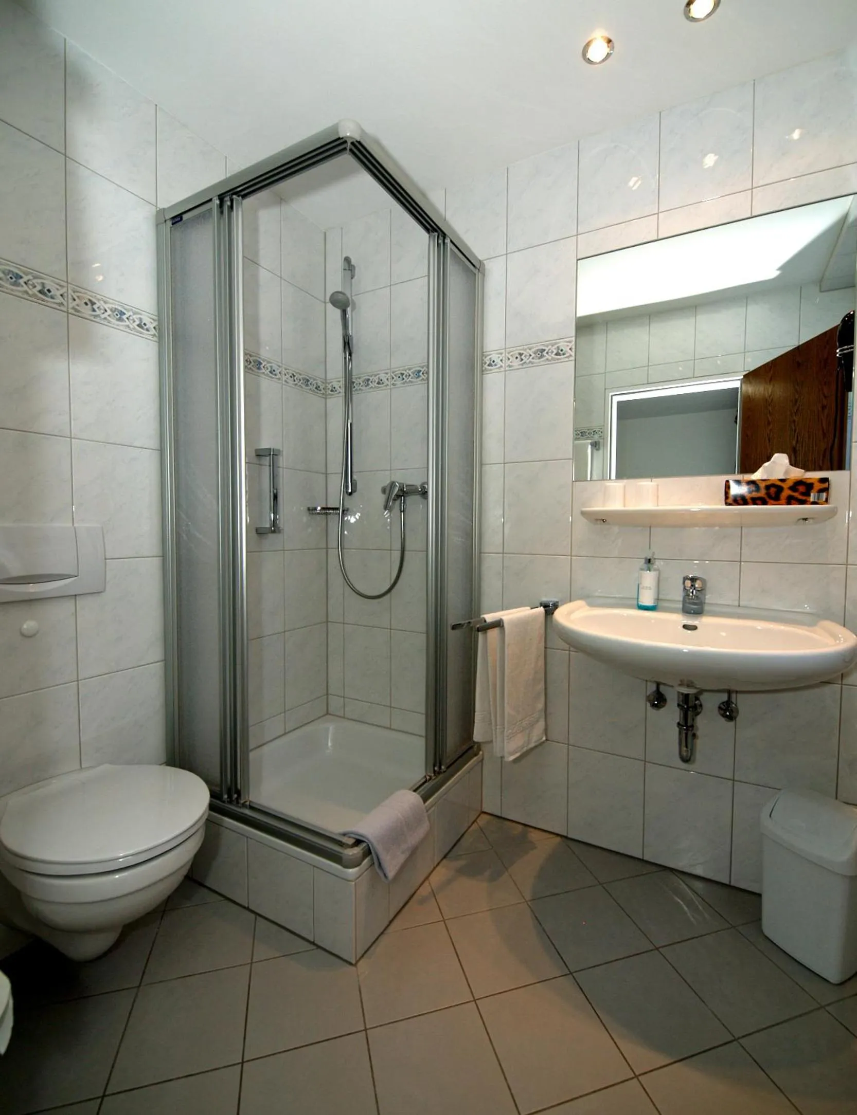 Toilet in Hotel Felsenkeller