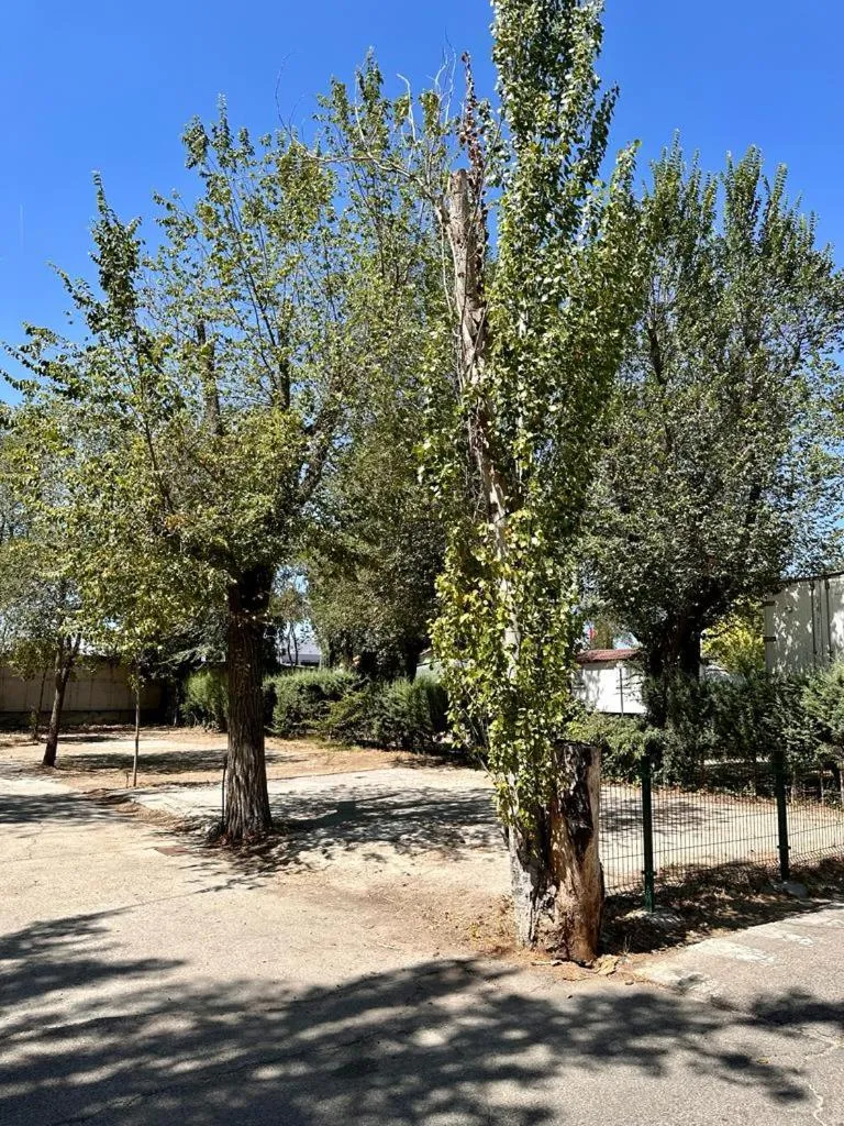 Day in Bungalows Alpha