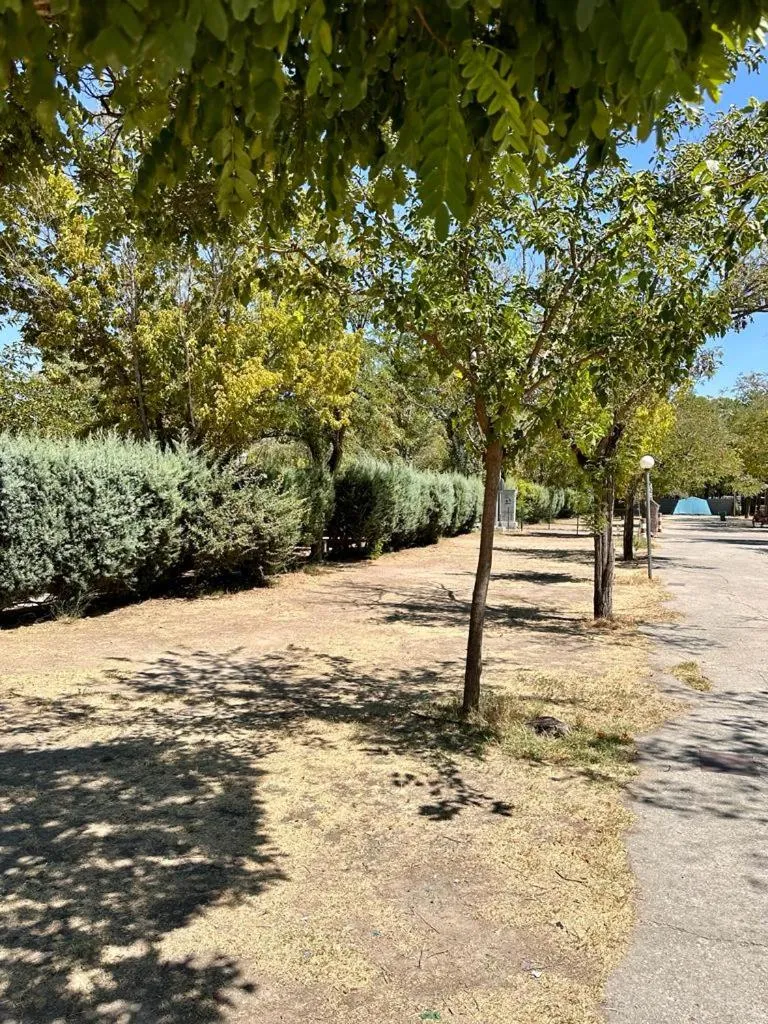 Day in Bungalows Alpha