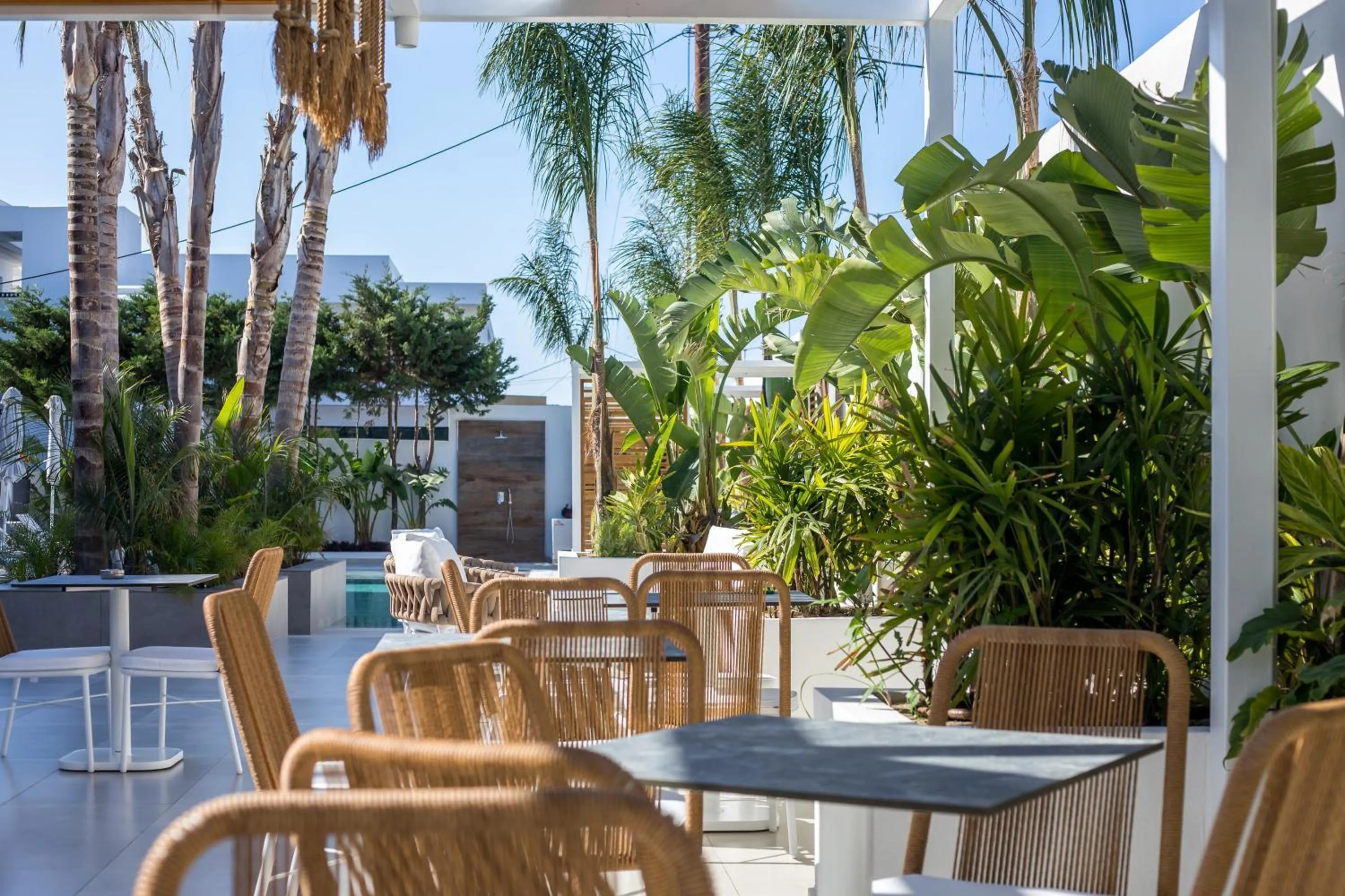 Garden in Casa Stavris