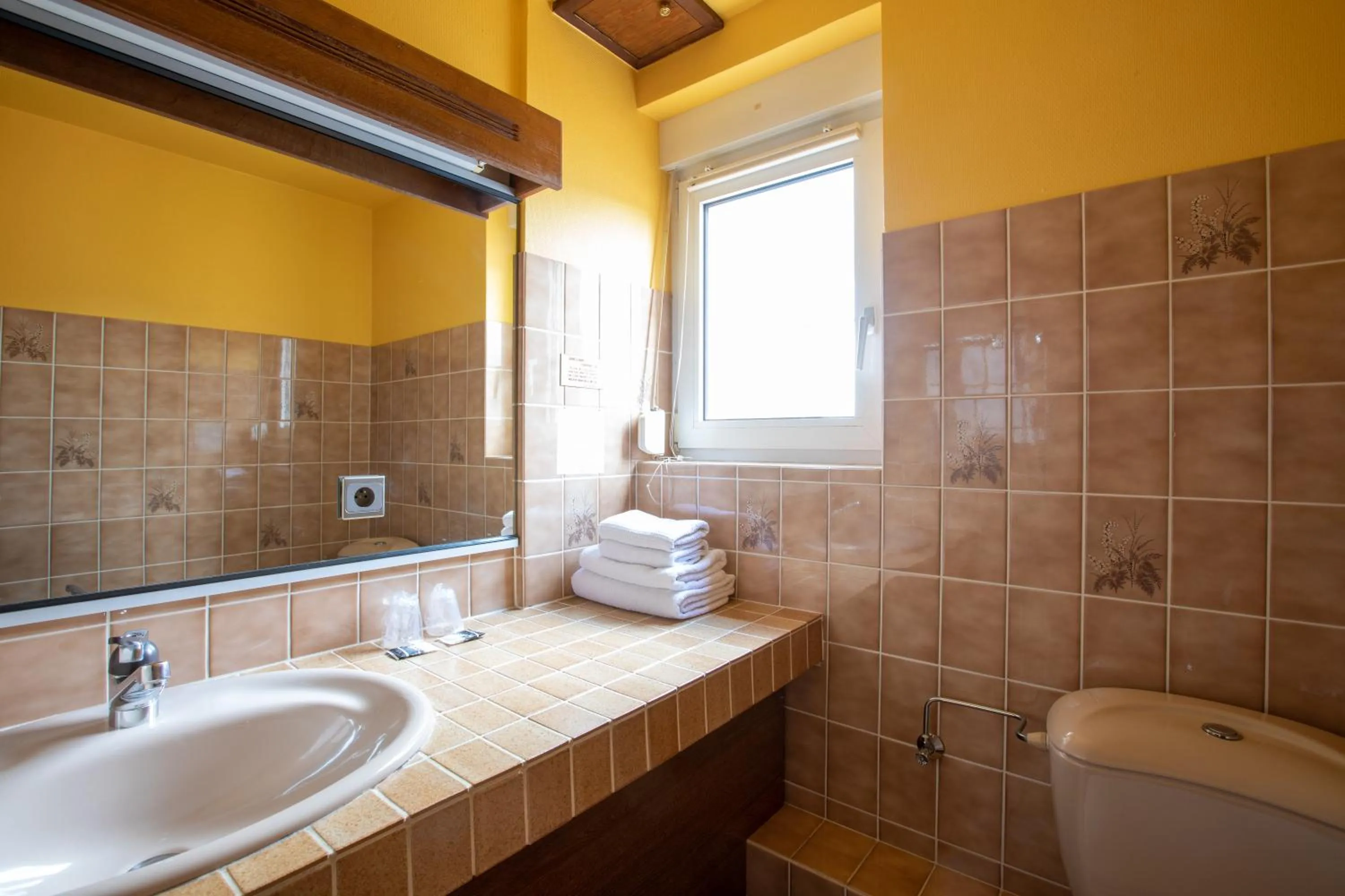 Hôtel Restaurant et Spa Au Tilleul