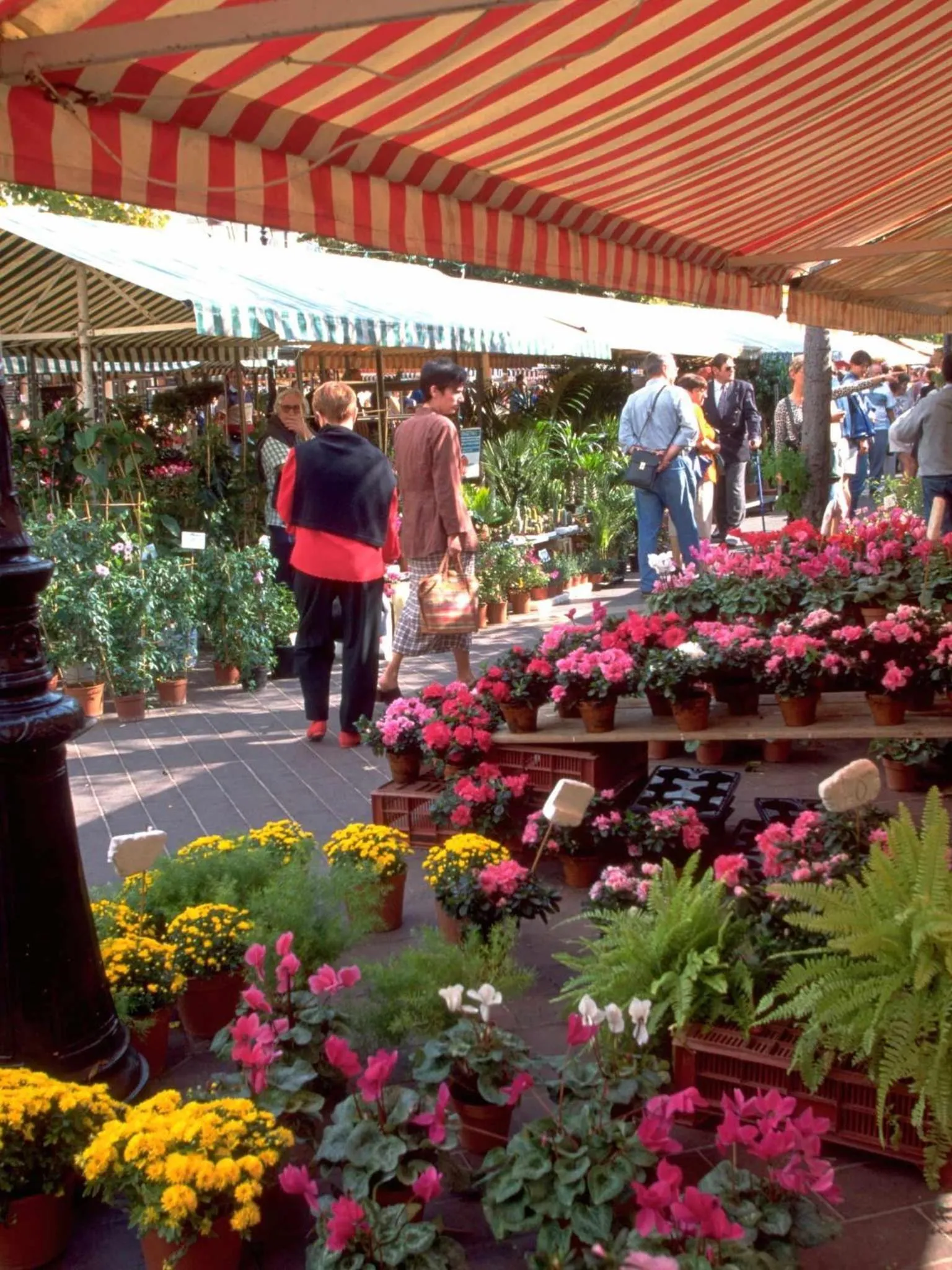 Other in ibis Nice Centre Notre Dame