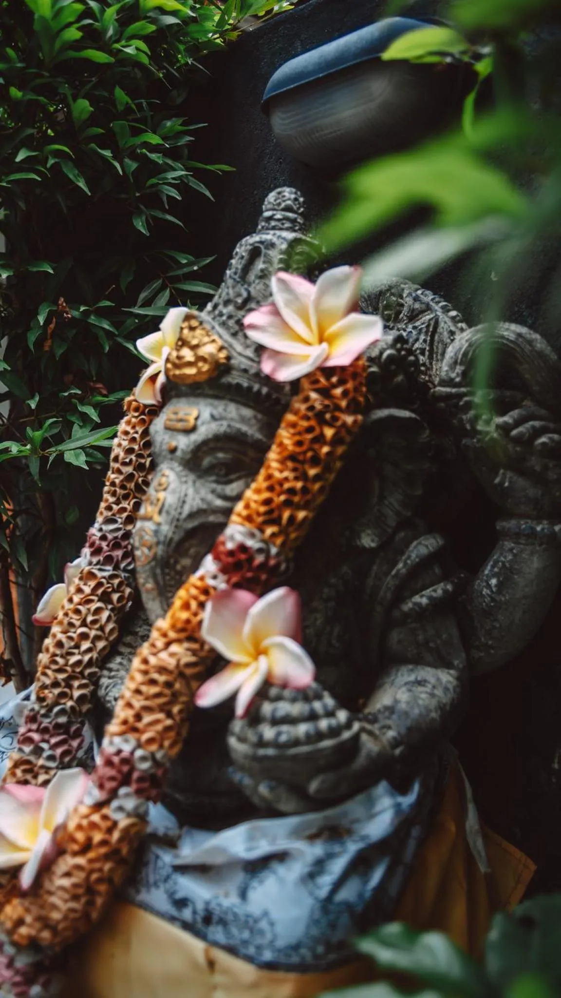 Garden view in The Lucky Cottage