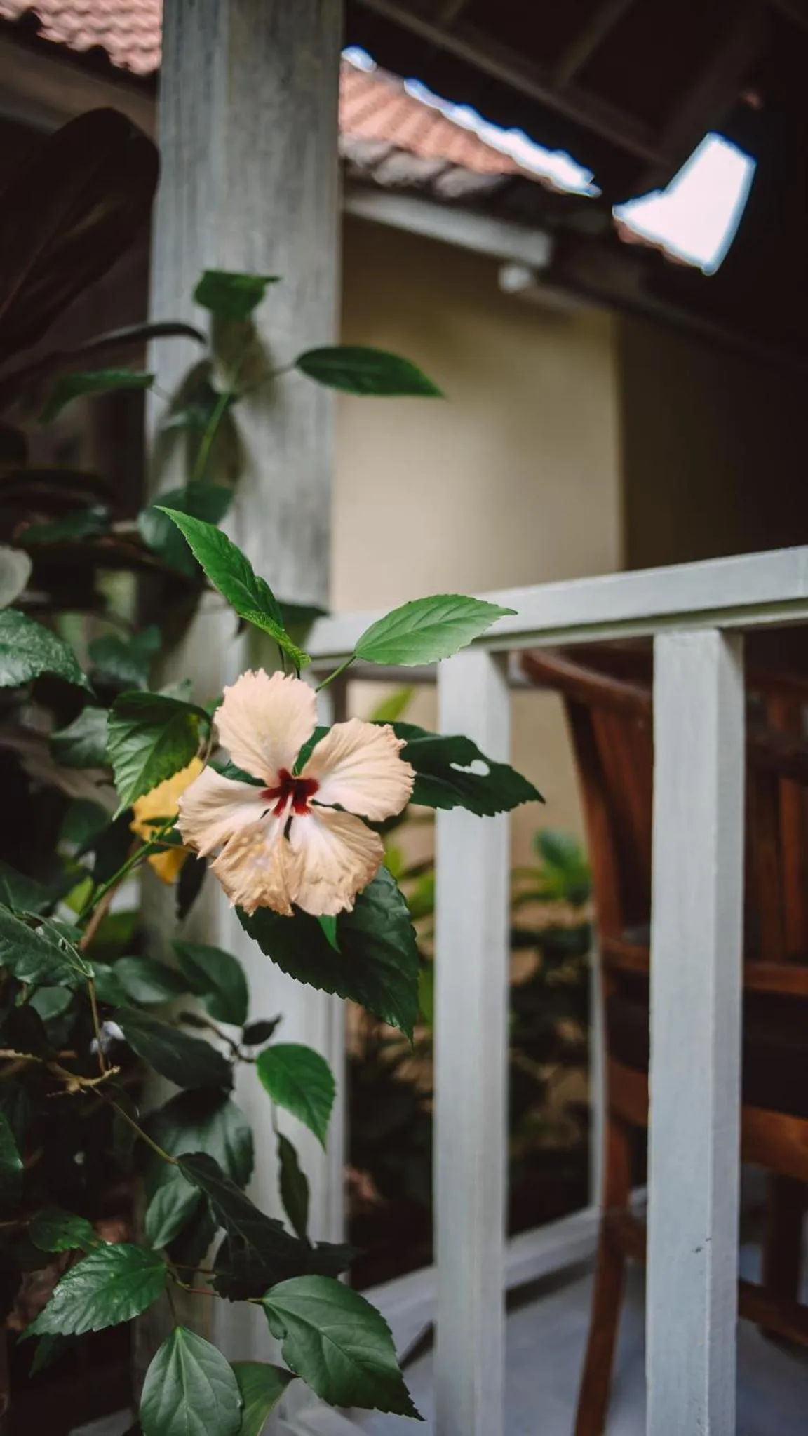 View (from property/room) in The Lucky Cottage