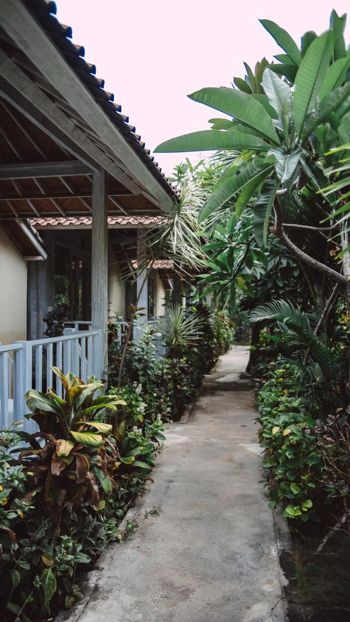 Property building in The Lucky Cottage