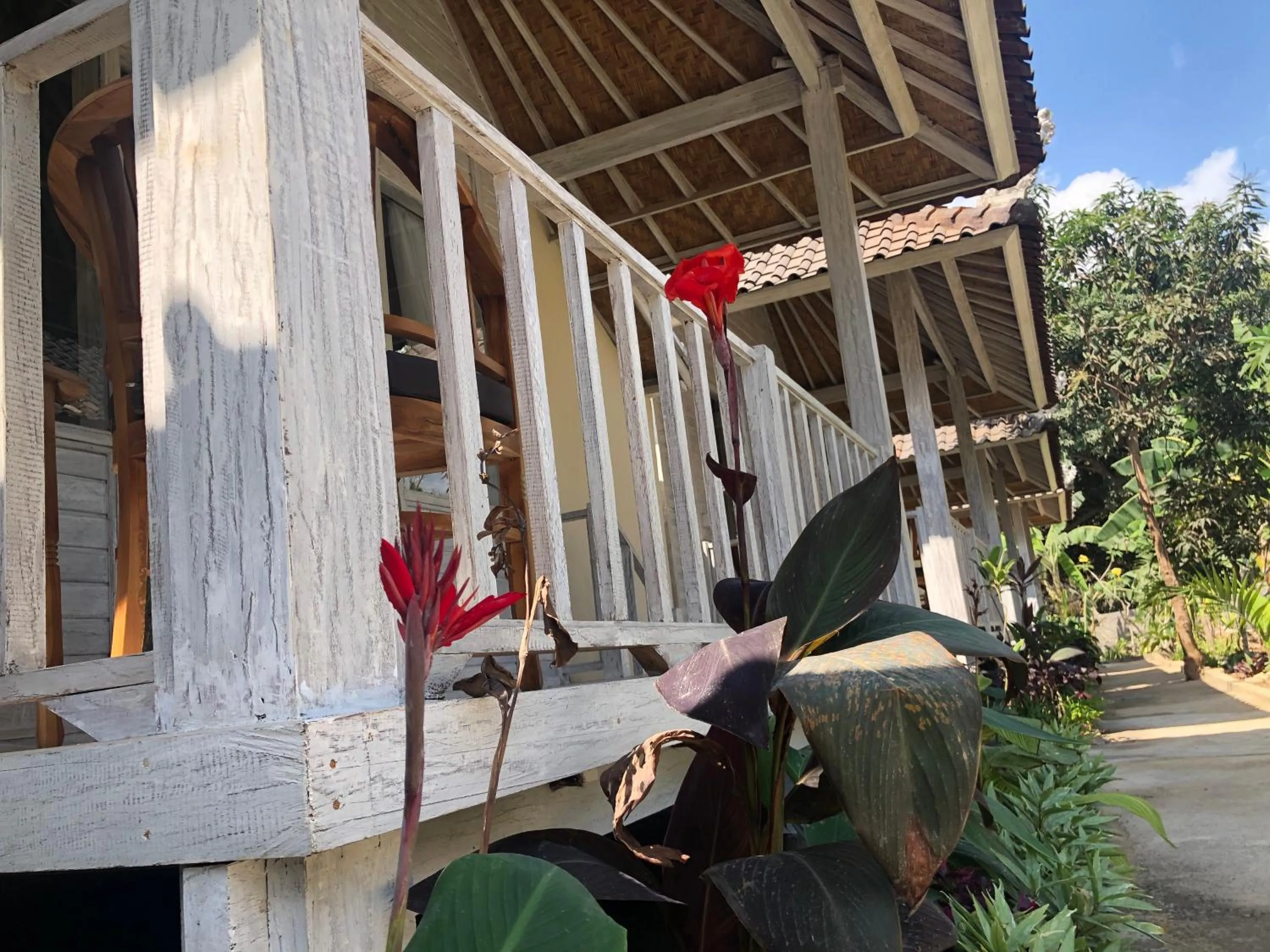 Balcony/Terrace in The Lucky Cottage