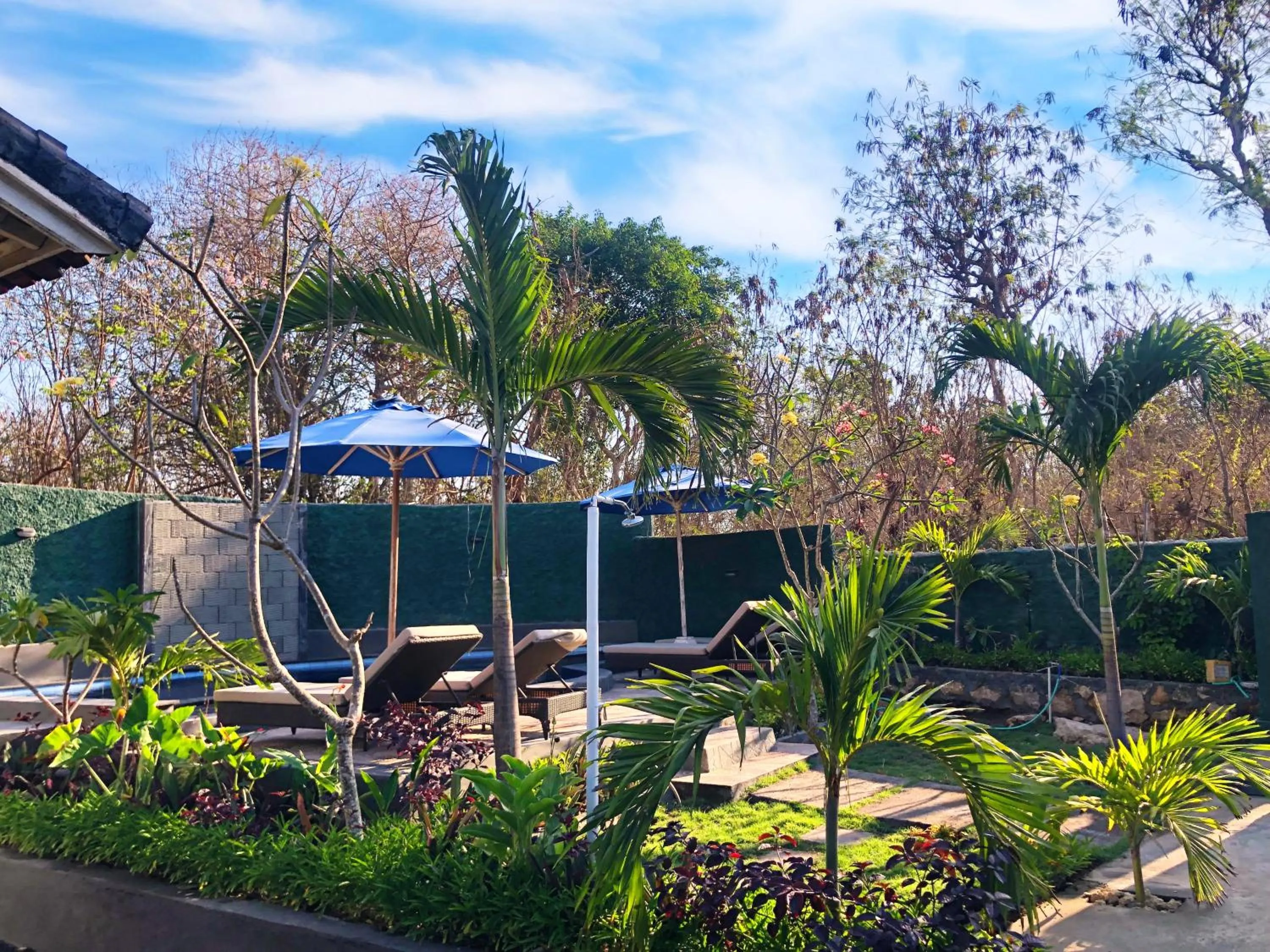 Garden view in The Lucky Cottage