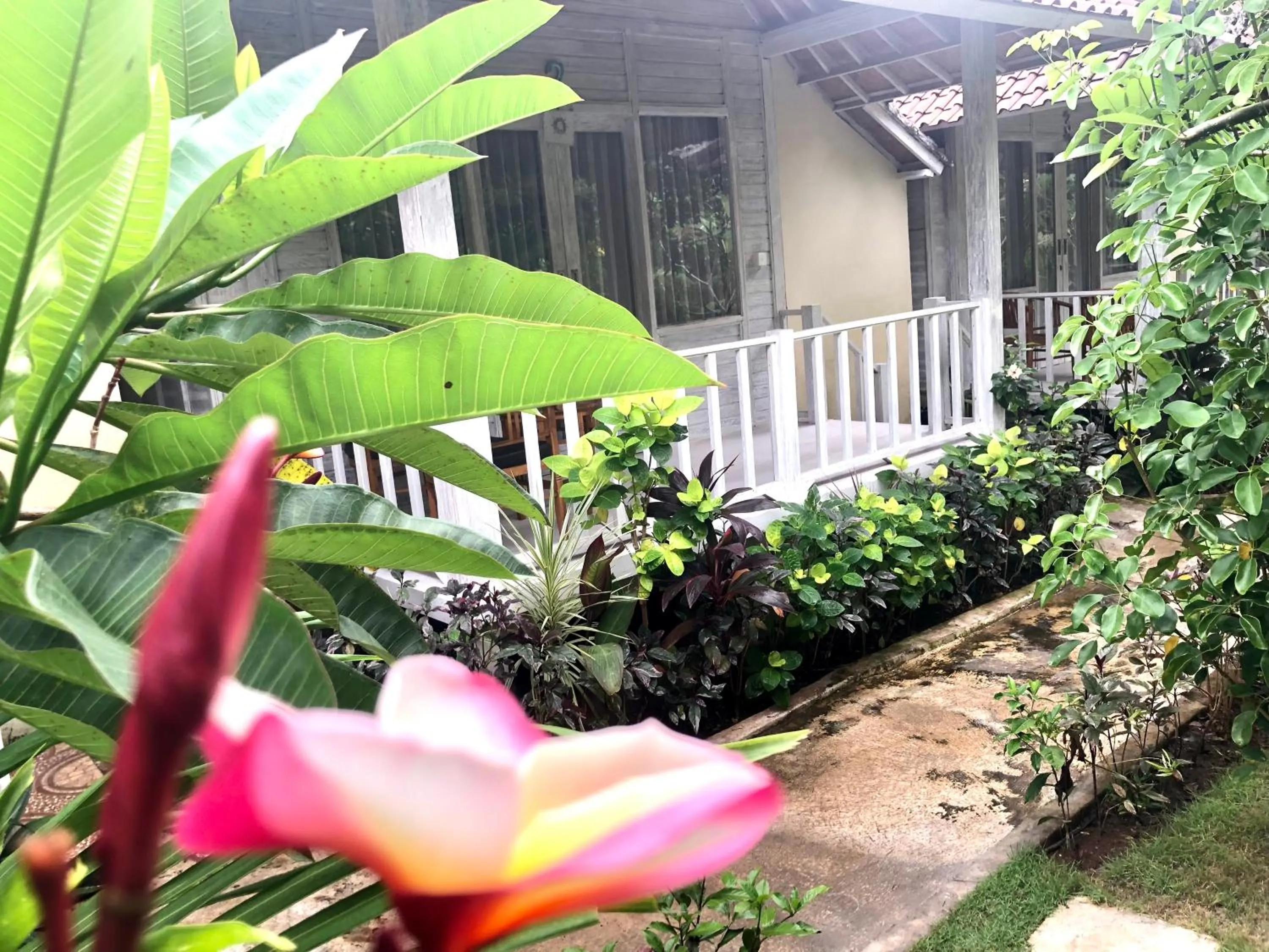 Garden in The Lucky Cottage