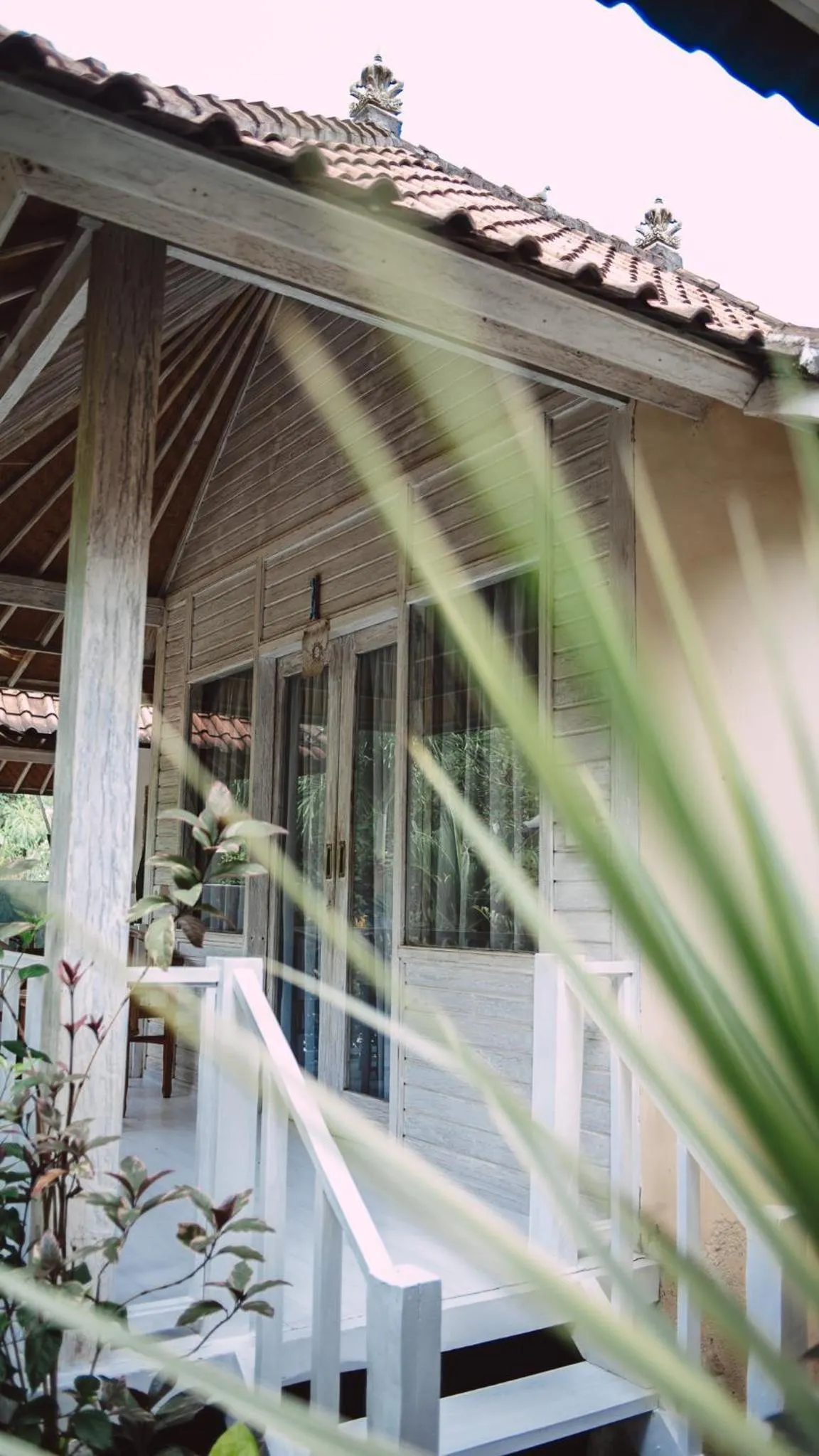 Property building in The Lucky Cottage