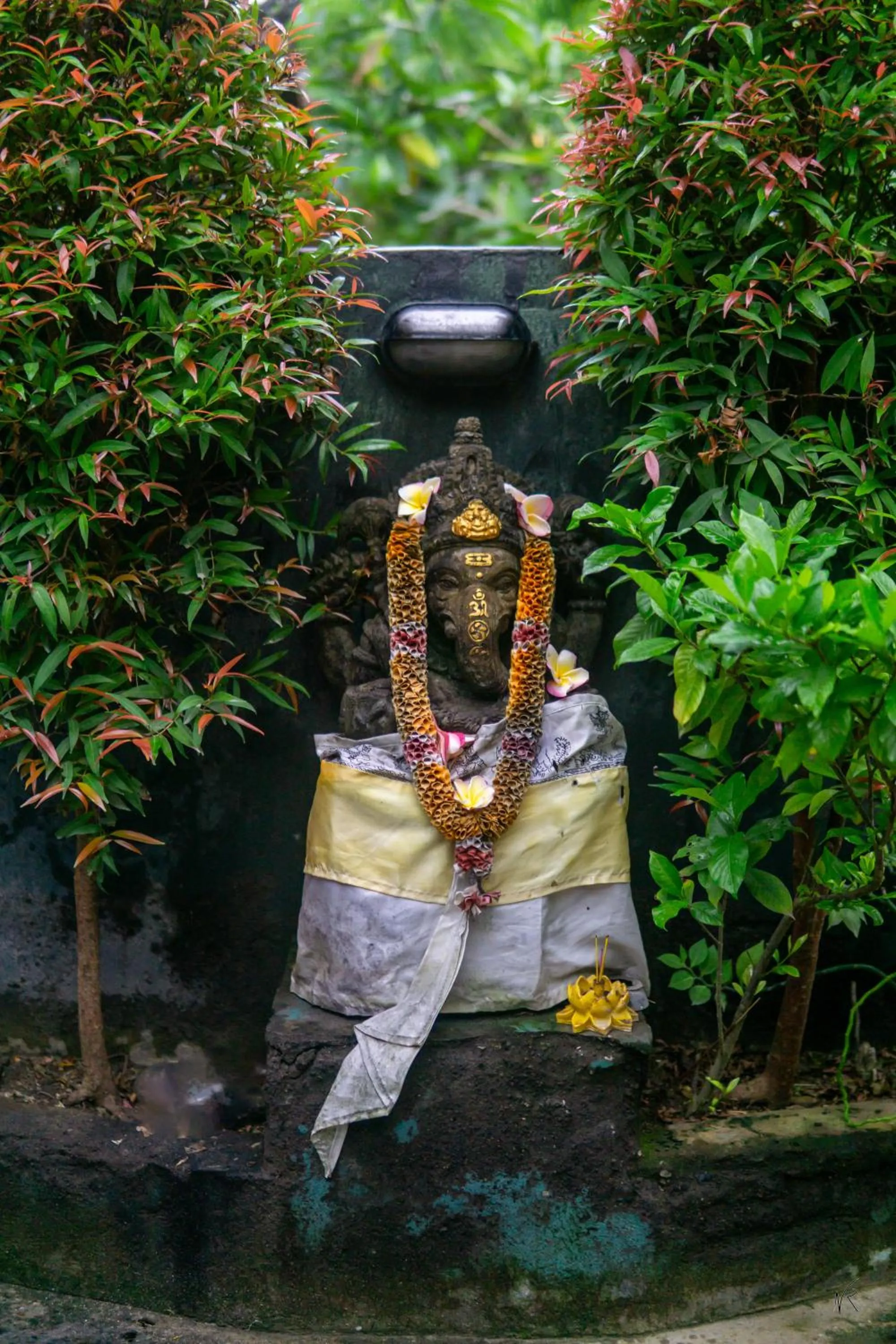 Garden in The Lucky Cottage