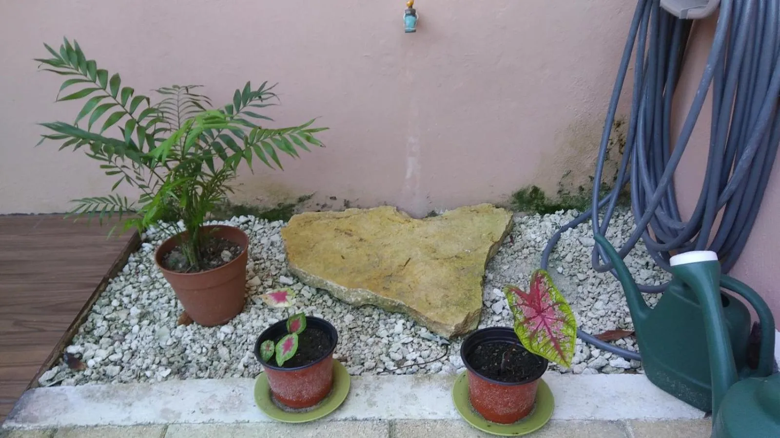 Patio in Casa Sandy