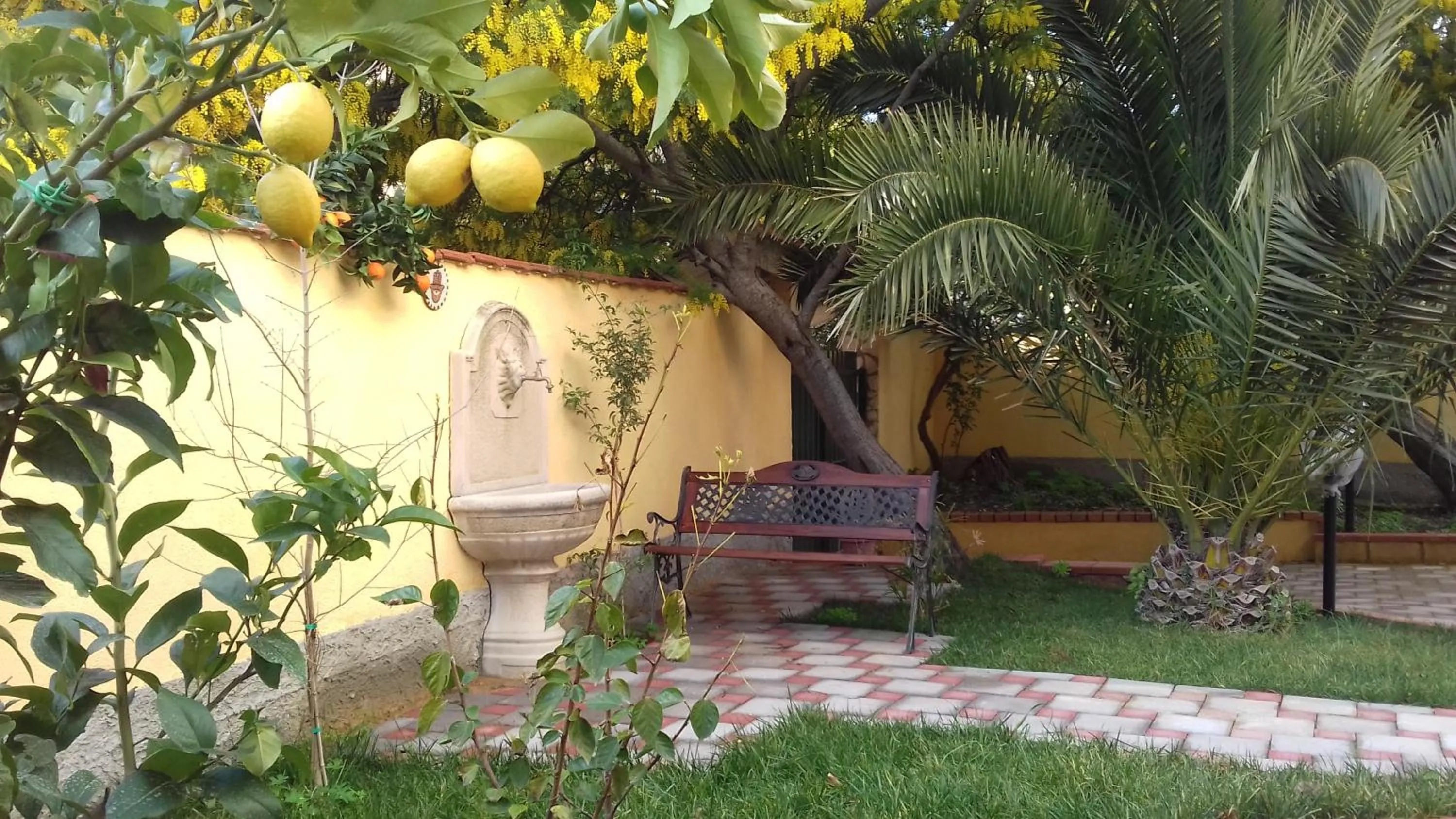 Patio in Villa Rahal