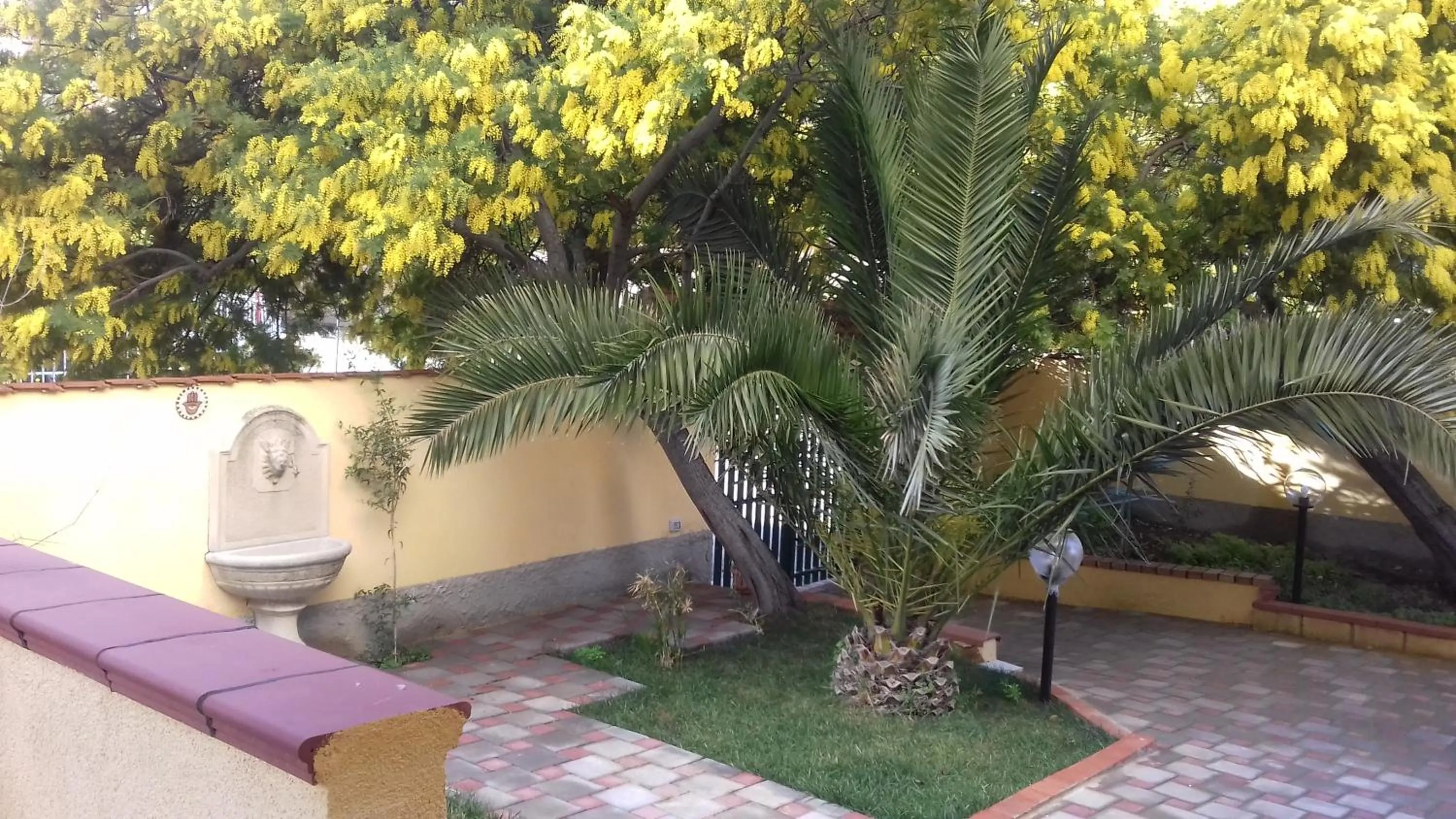 Garden in Villa Rahal