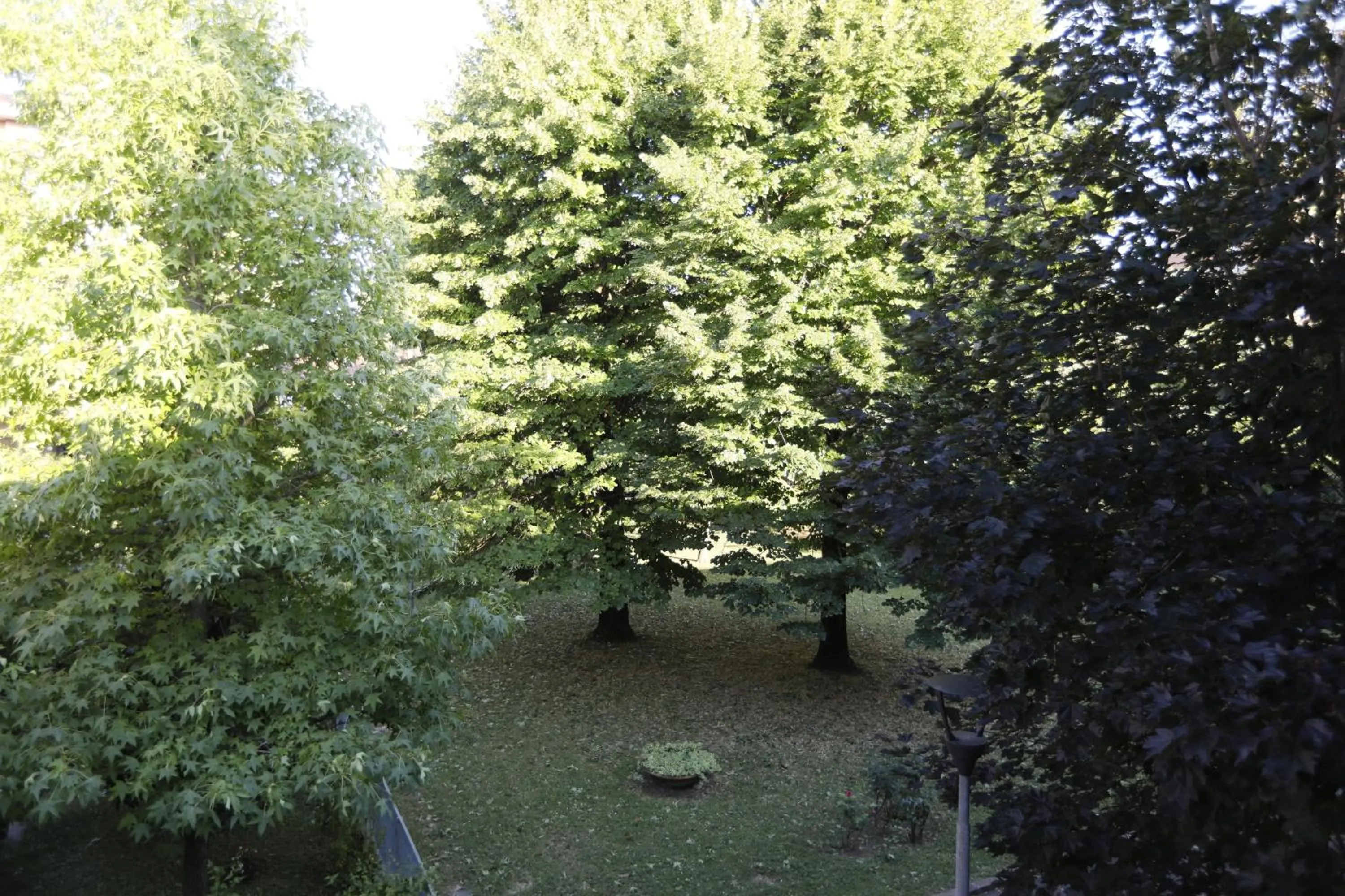 View (from property/room) in Pisacane61 B&B