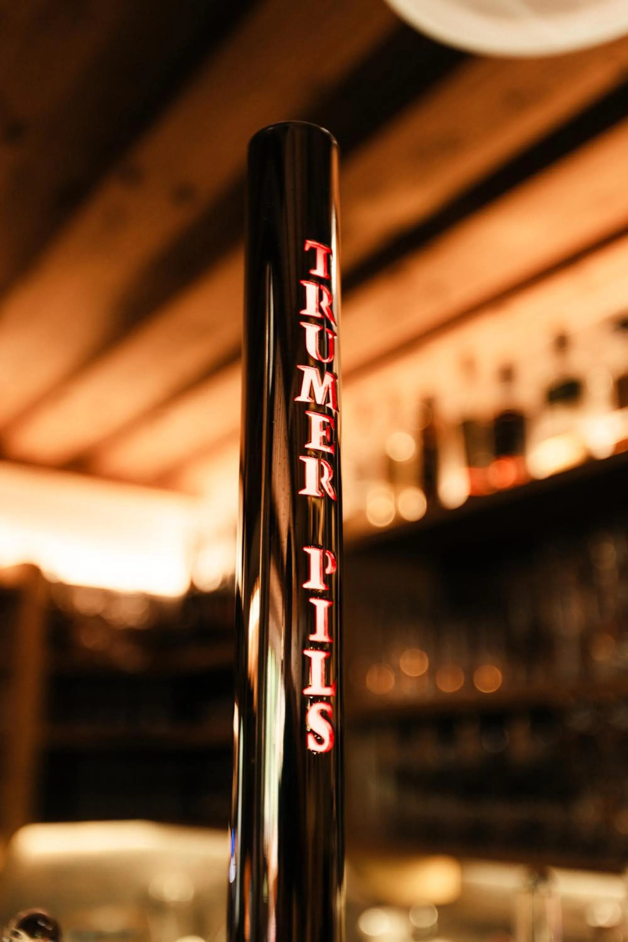 Lounge or bar in Hotel Künstleralm