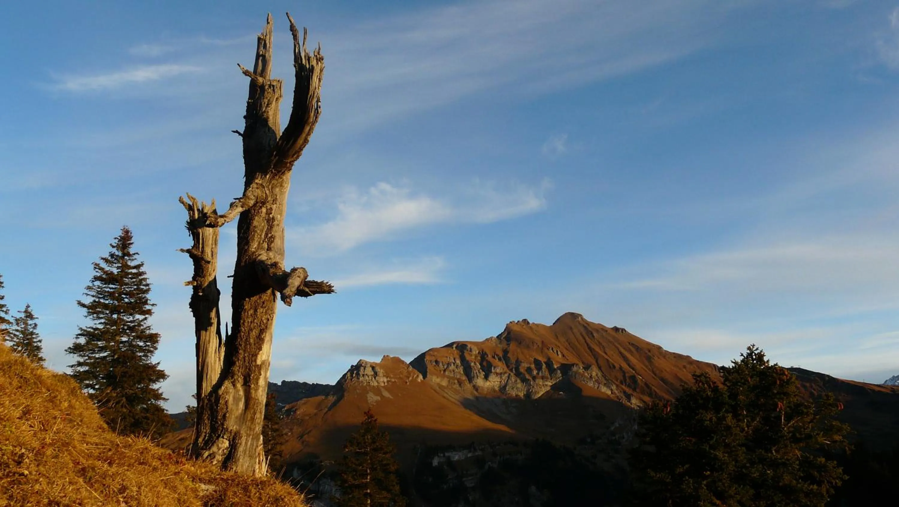 Activities in Emma's B&B - Self Check-in Hotel