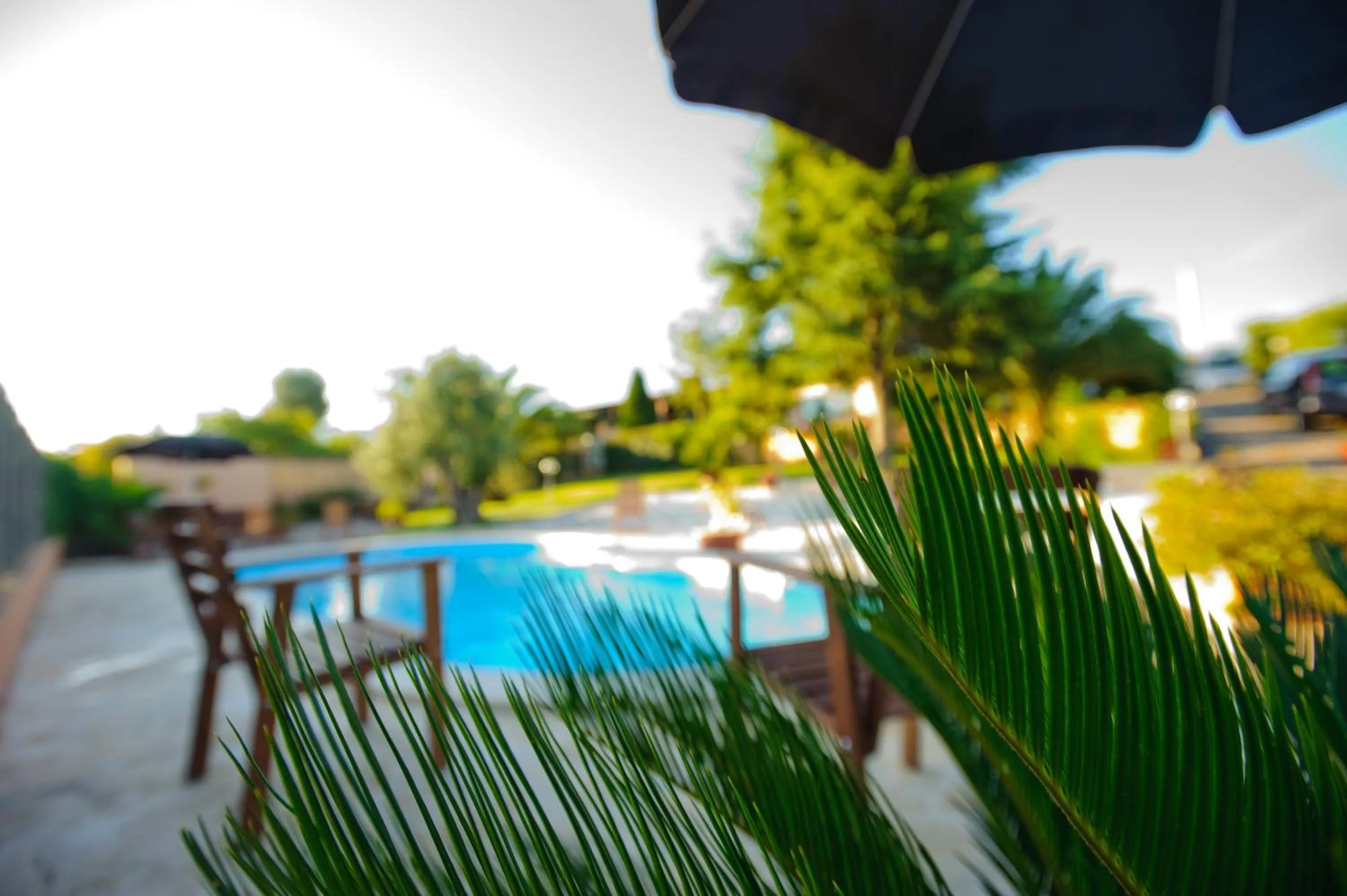 Garden in Il Viottolo