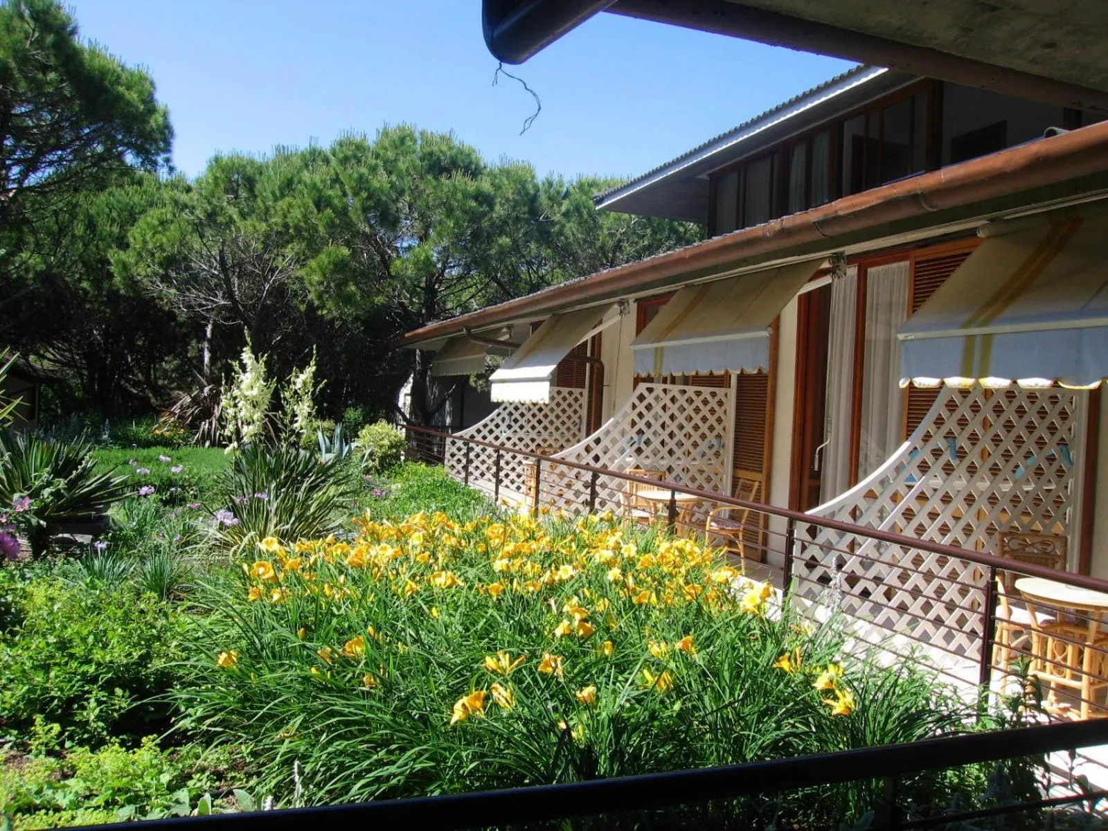 Spring in Park Hotel Pineta & Dependance Suite