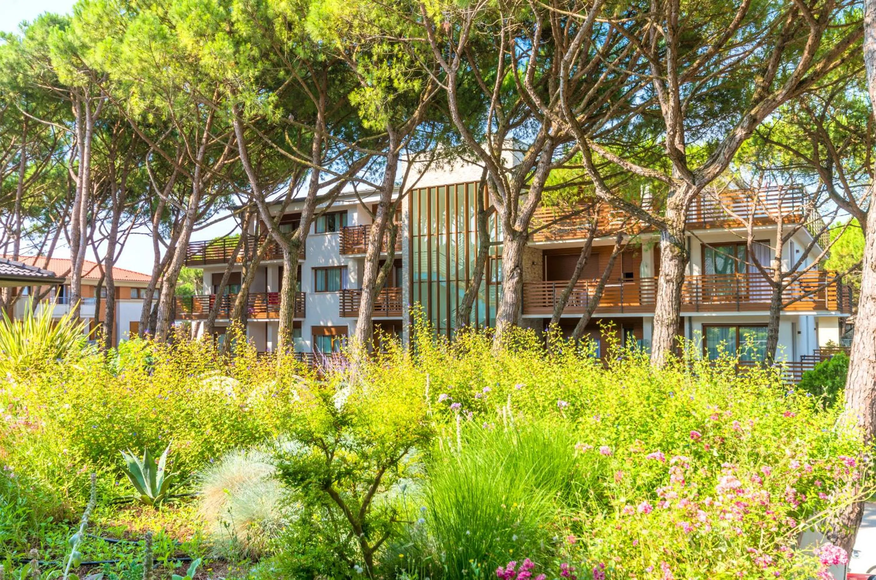 Park Hotel Pineta & Dependance Suite