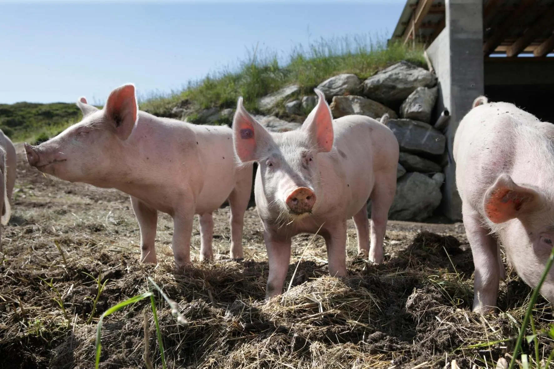 Hamilton Lodge & Spa