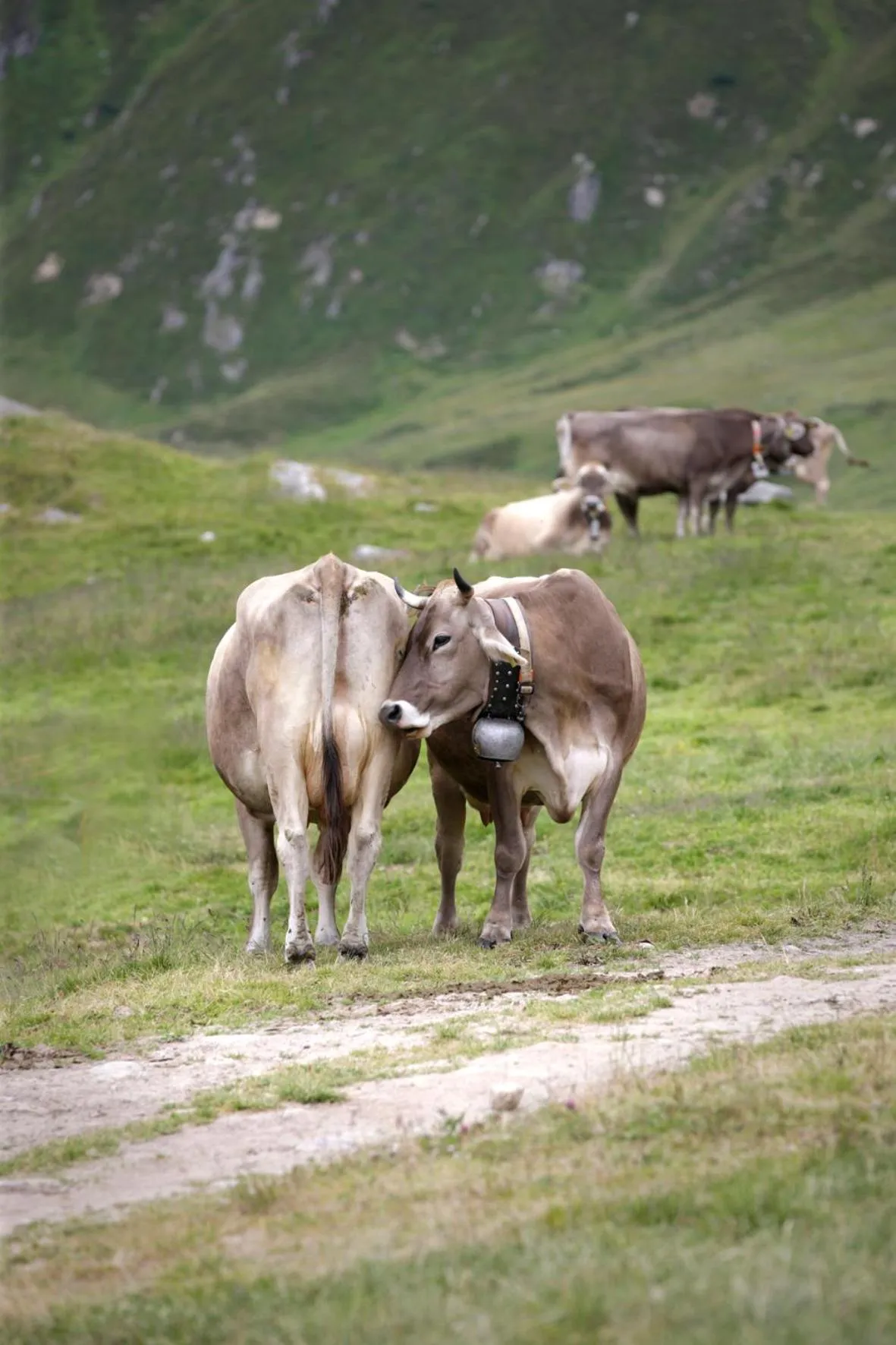 Hamilton Lodge & Spa