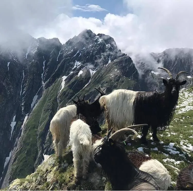 Hamilton Lodge & Spa