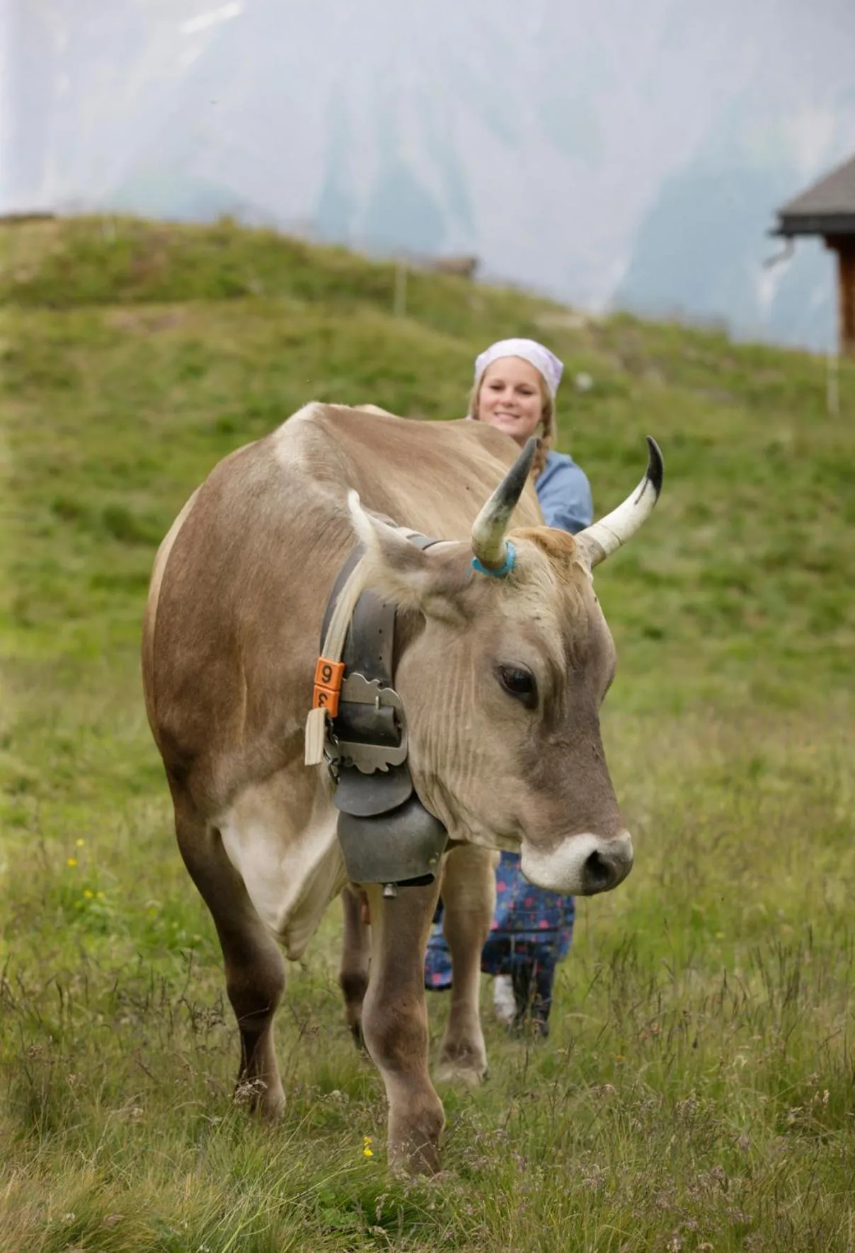 Hamilton Lodge & Spa