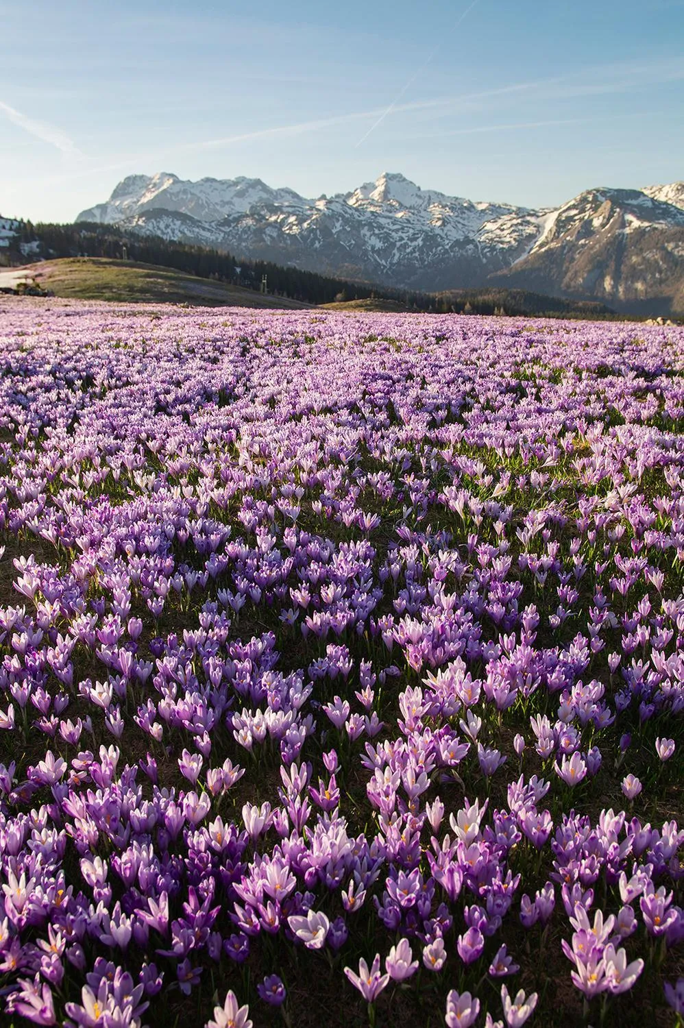 Koča Zlatorog - Velika planina