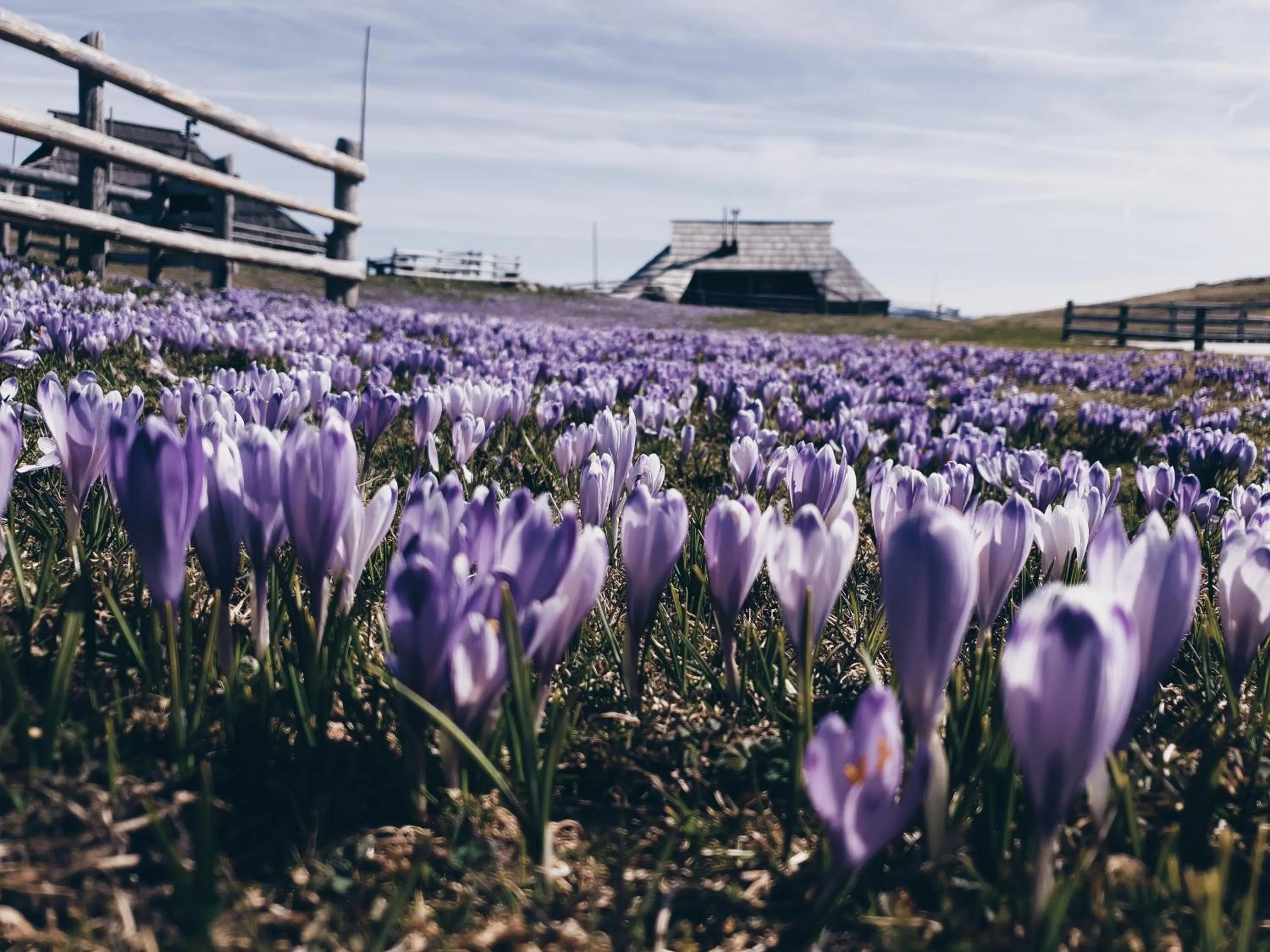 Spring in Koča Zlatorog - Velika planina