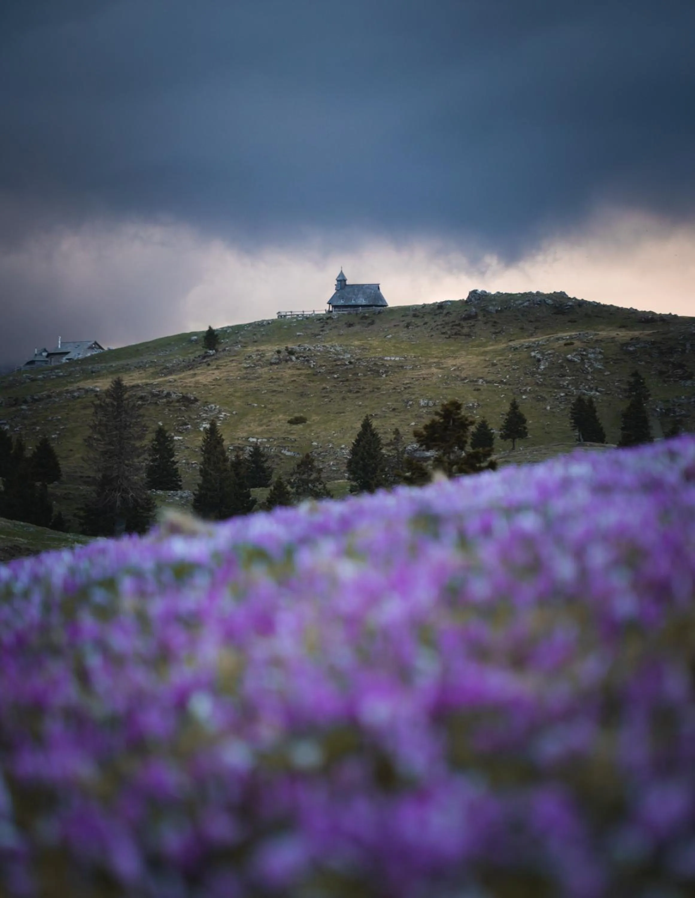 Koča Zlatorog - Velika planina