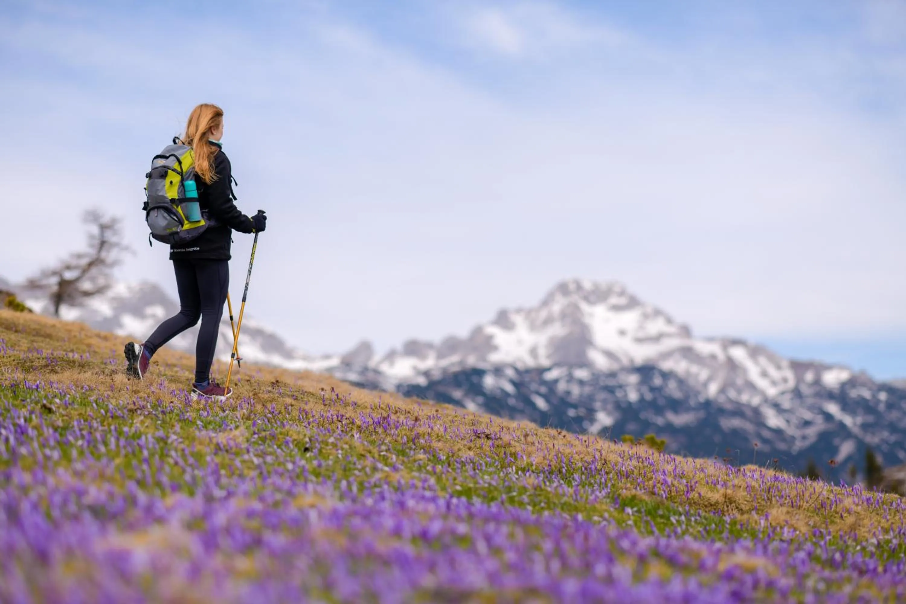Koča Zlatorog - Velika planina
