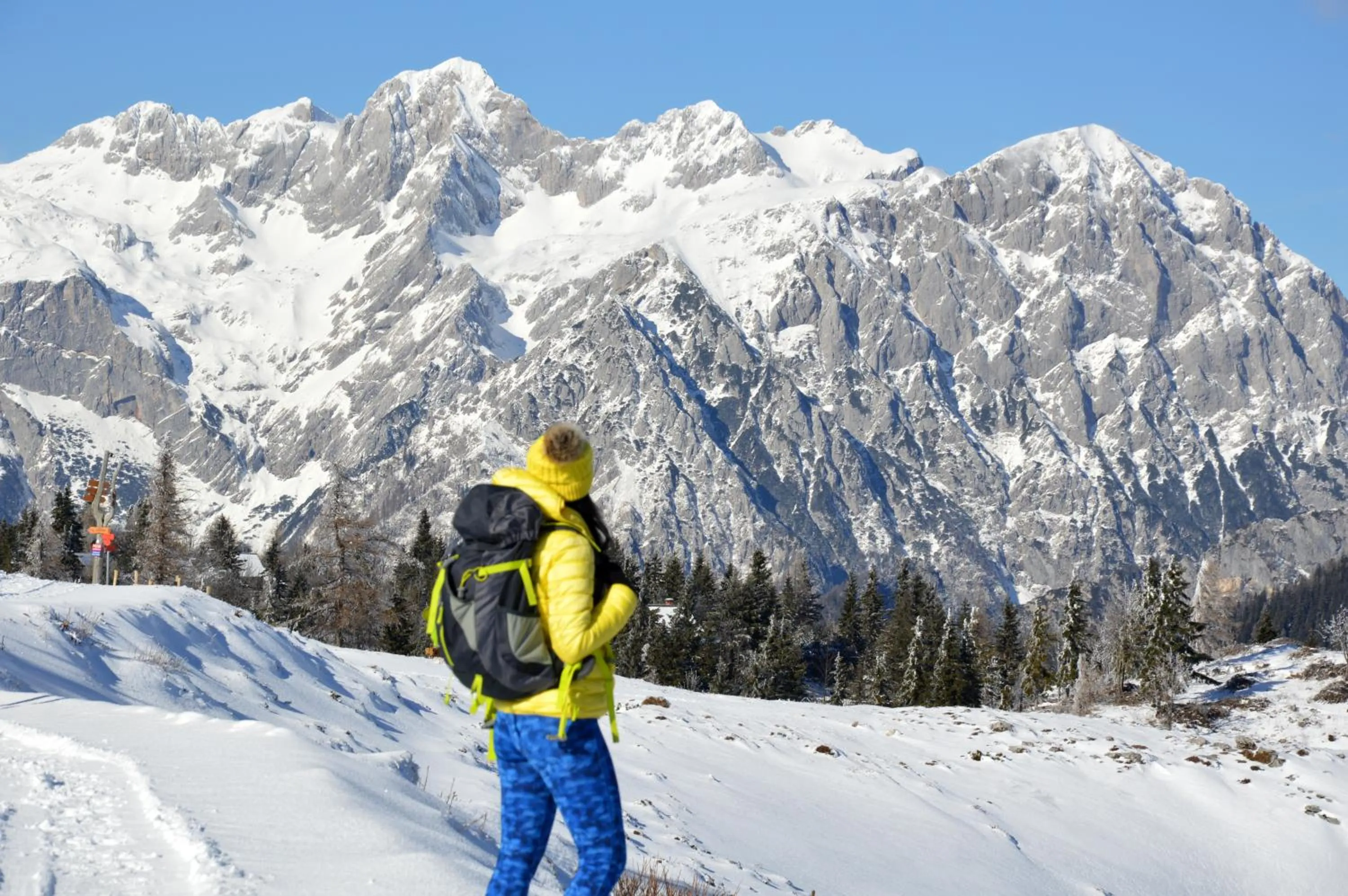 Koča Zlatorog - Velika planina