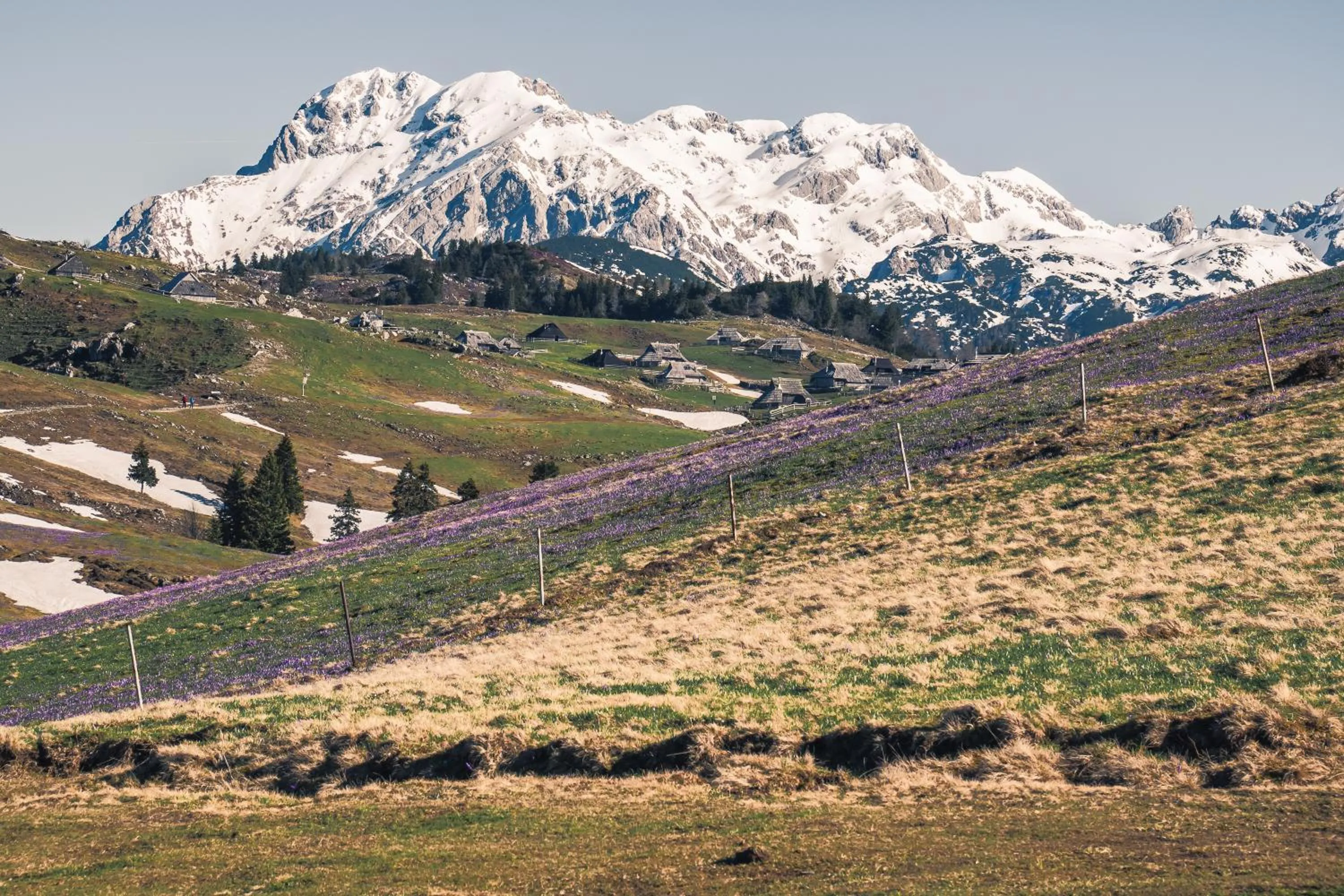 Koča Zlatorog - Velika planina
