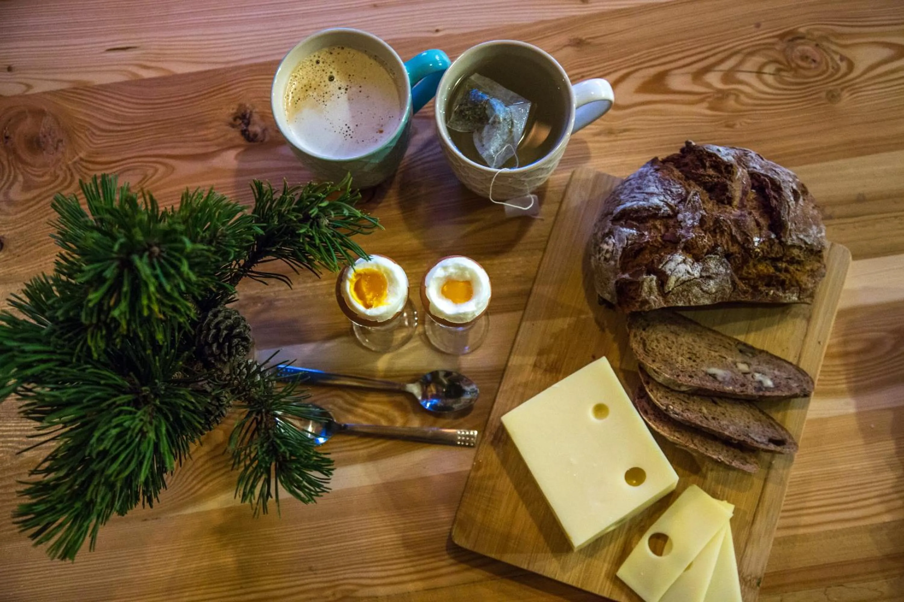 Koča Zlatorog - Velika planina