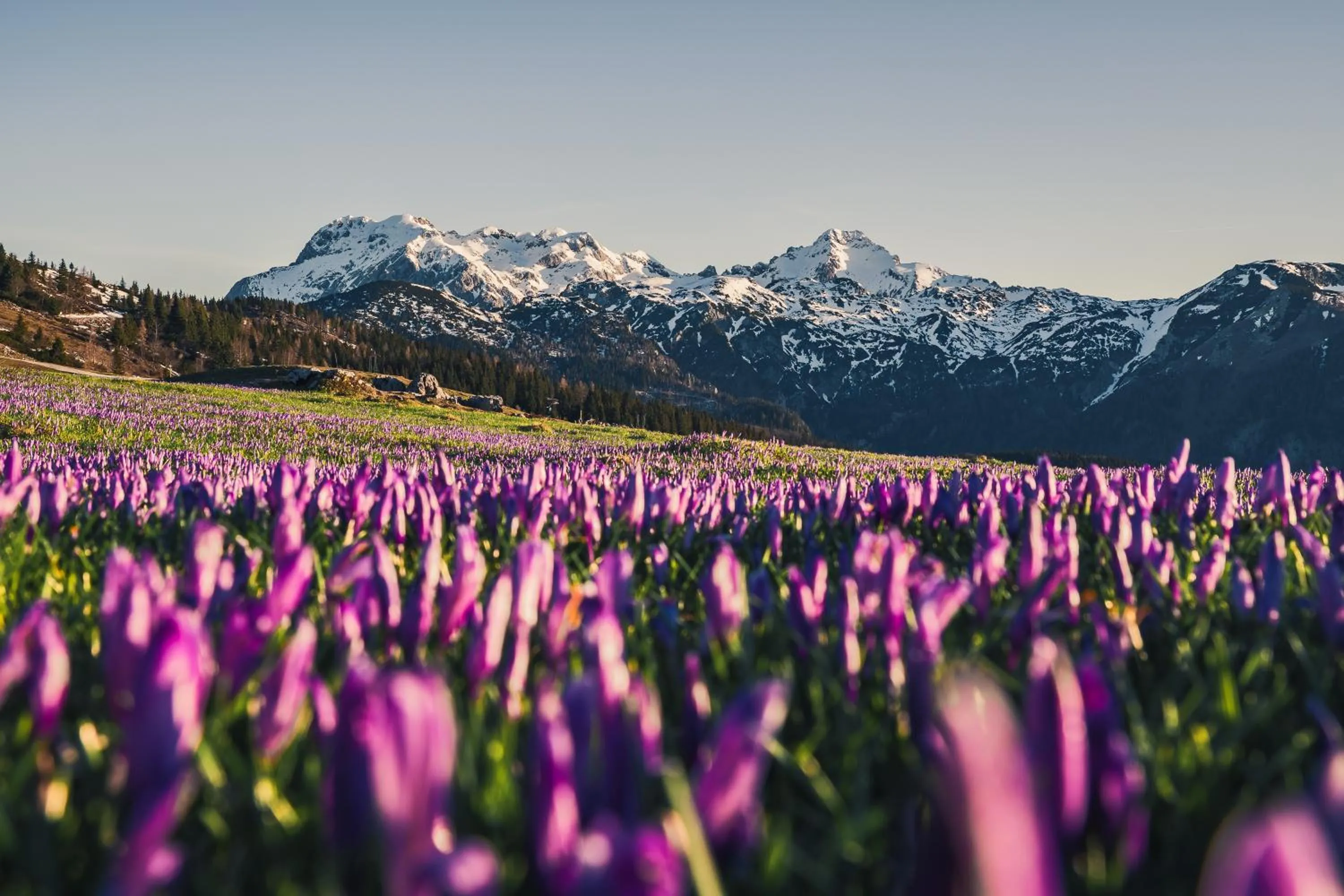 Koča Zlatorog - Velika planina