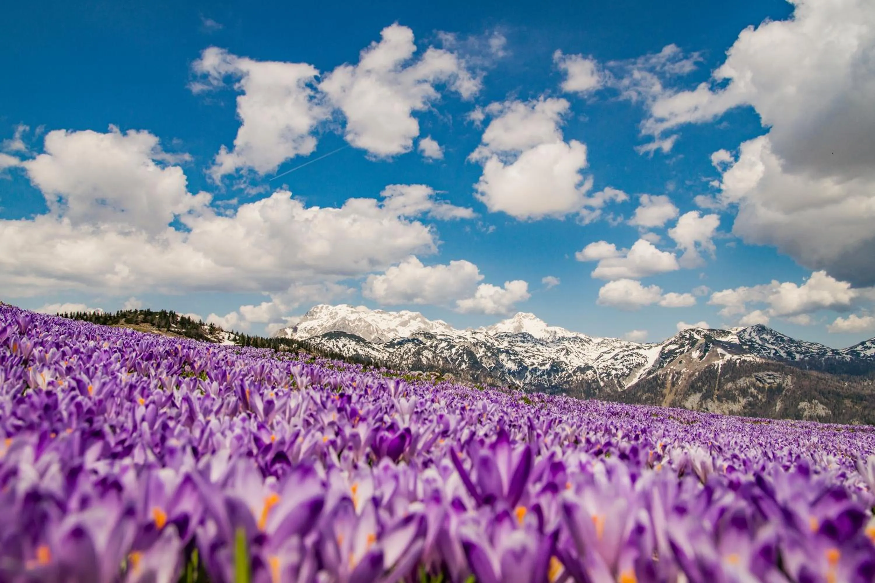 Koča Zlatorog - Velika planina