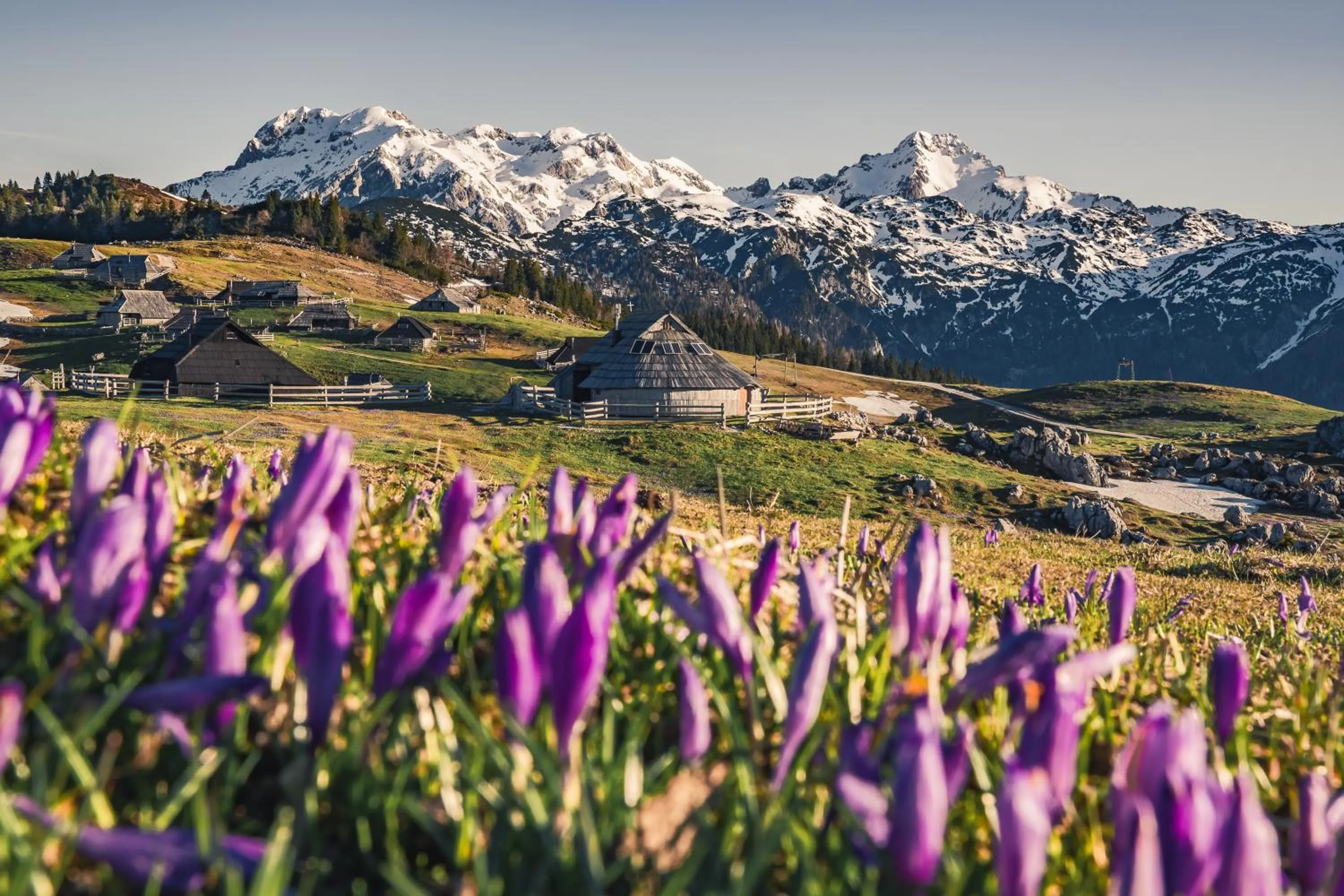 Koča Zlatorog - Velika planina