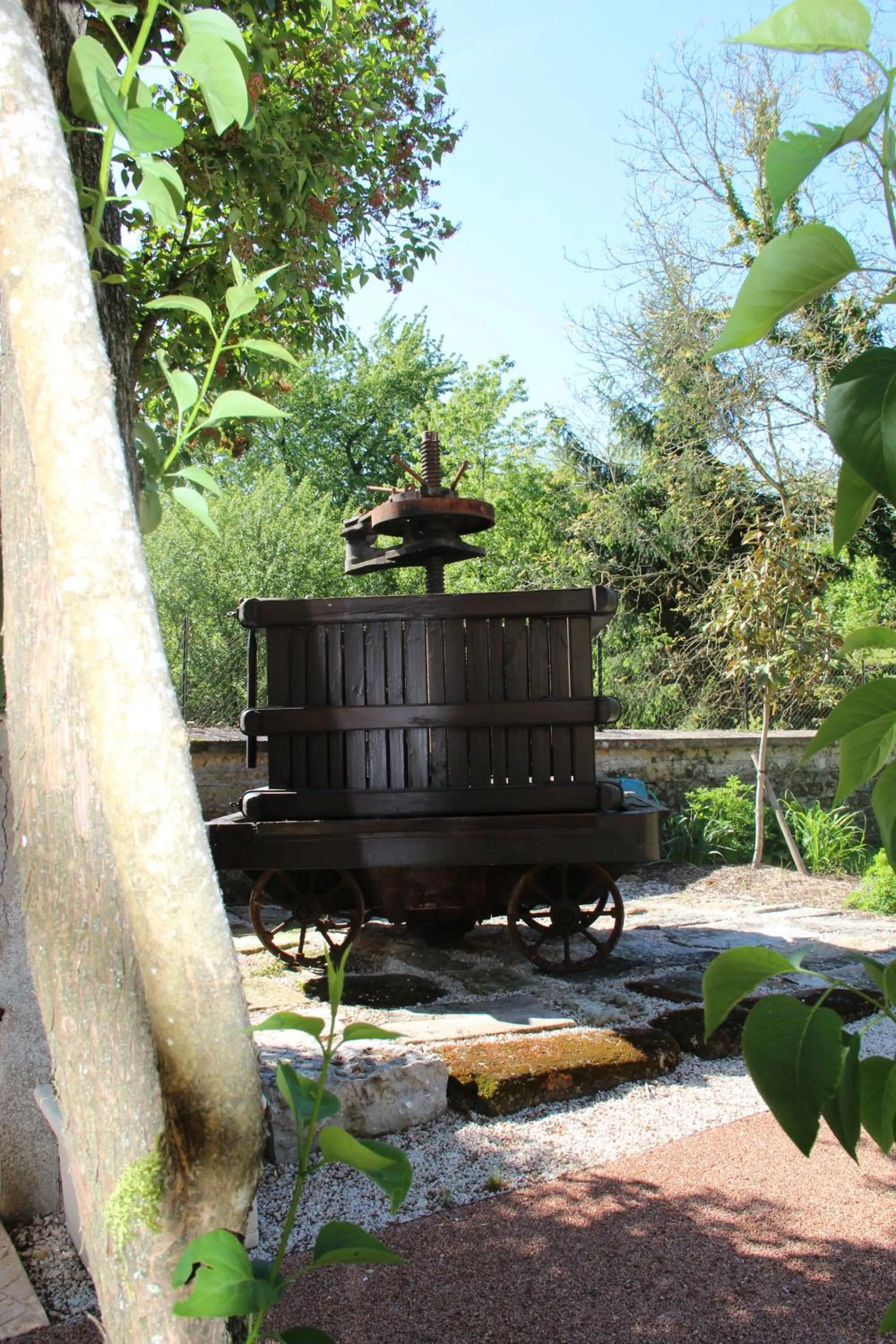 Garden in Logis Des Trois Maures